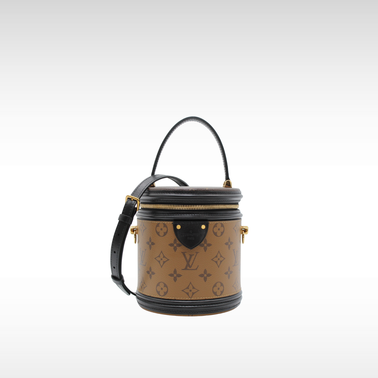 Cannes Monogram Reverse Vanity Bag