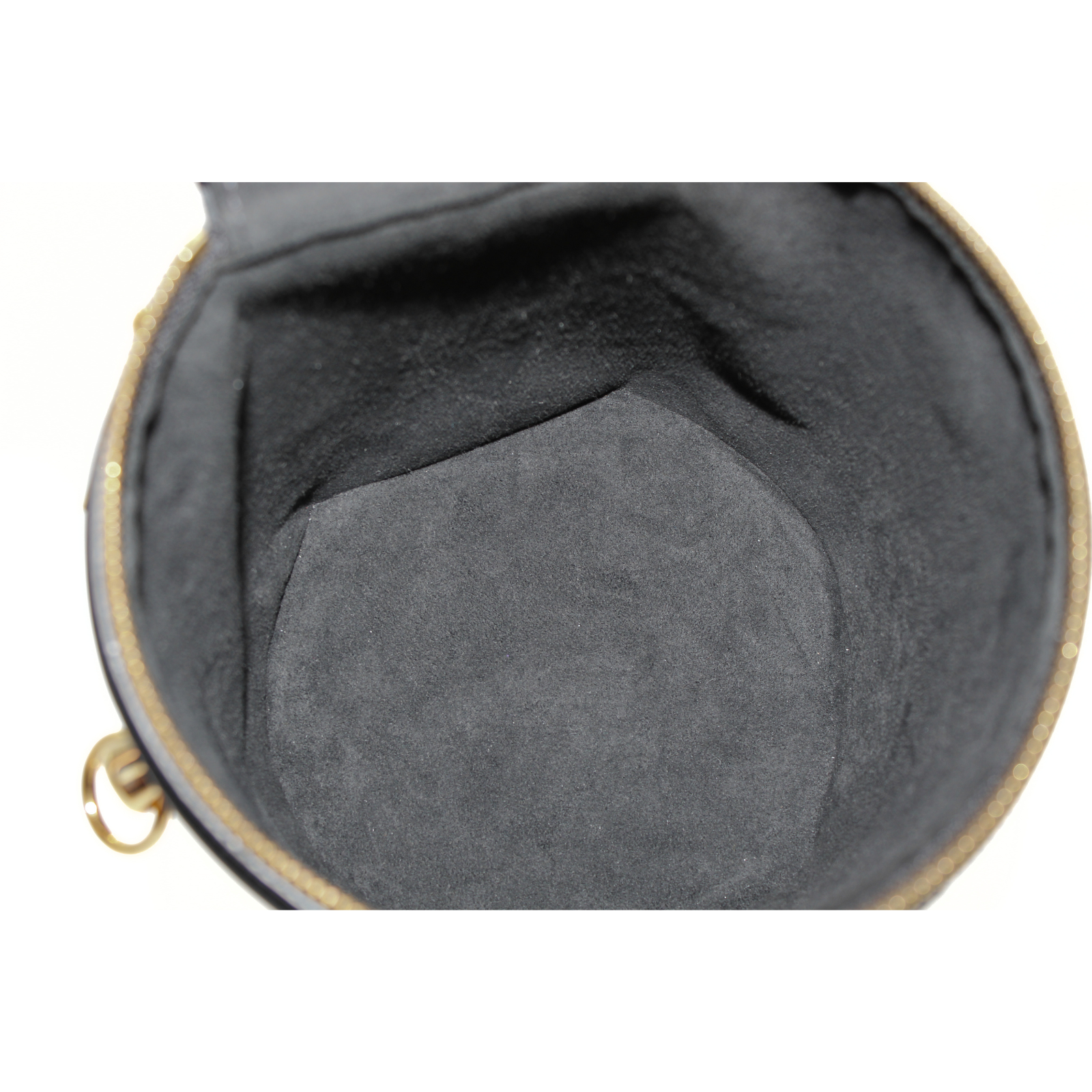 Cannes Monogram Reverse Vanity Bag