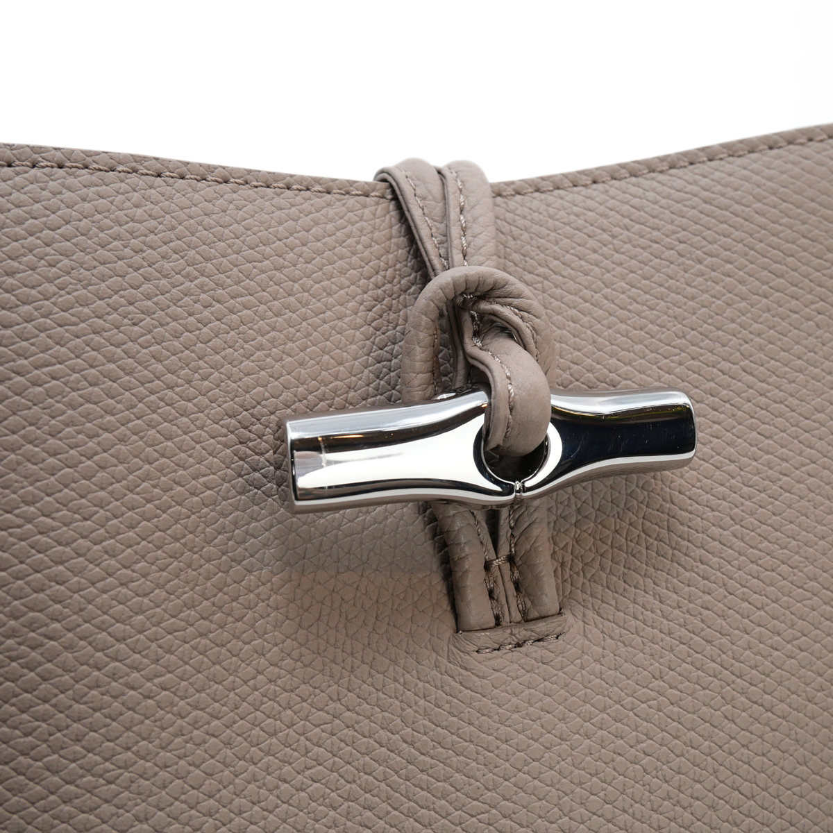 Le Roseau XS Calf Handbag