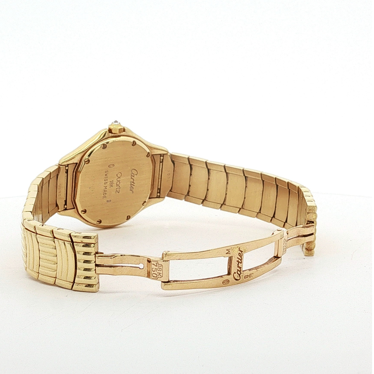 Panthere Cougar WF8008DK 26mm