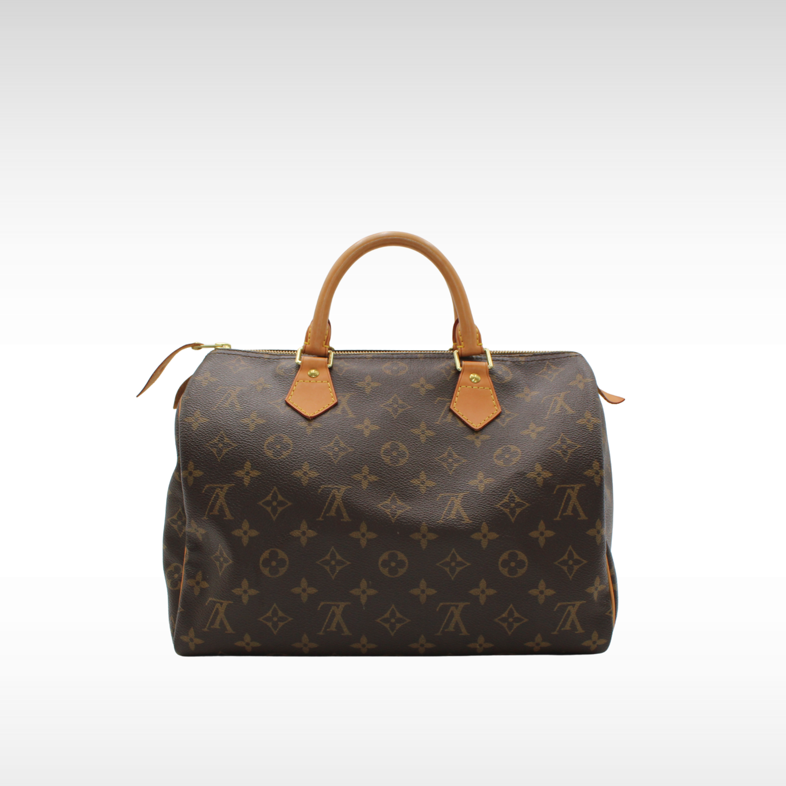 Speedy 30 Monogram Handbag