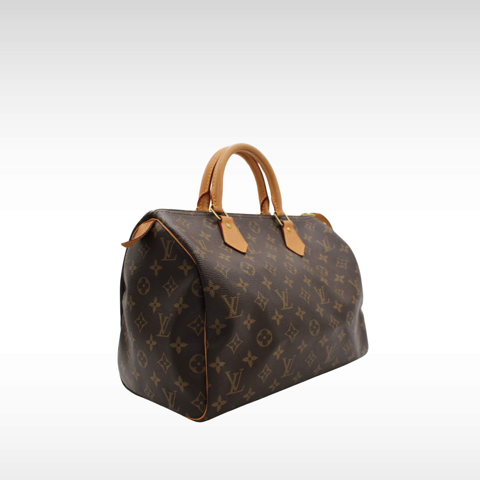 Speedy 30 Monogram Handbag