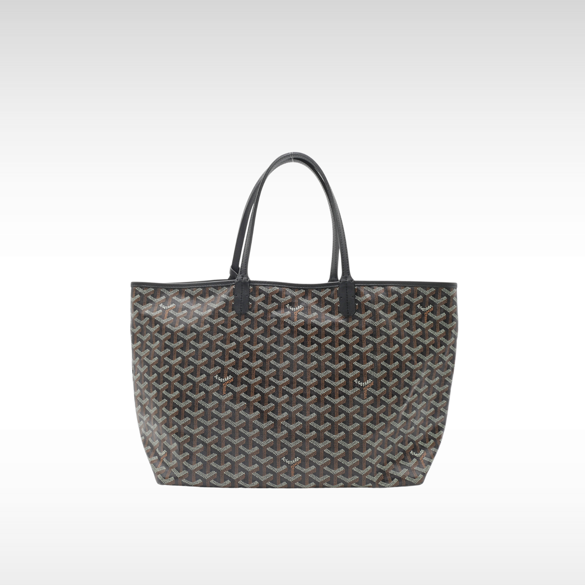Saint Louis PM Coated Canvas Tote Bag