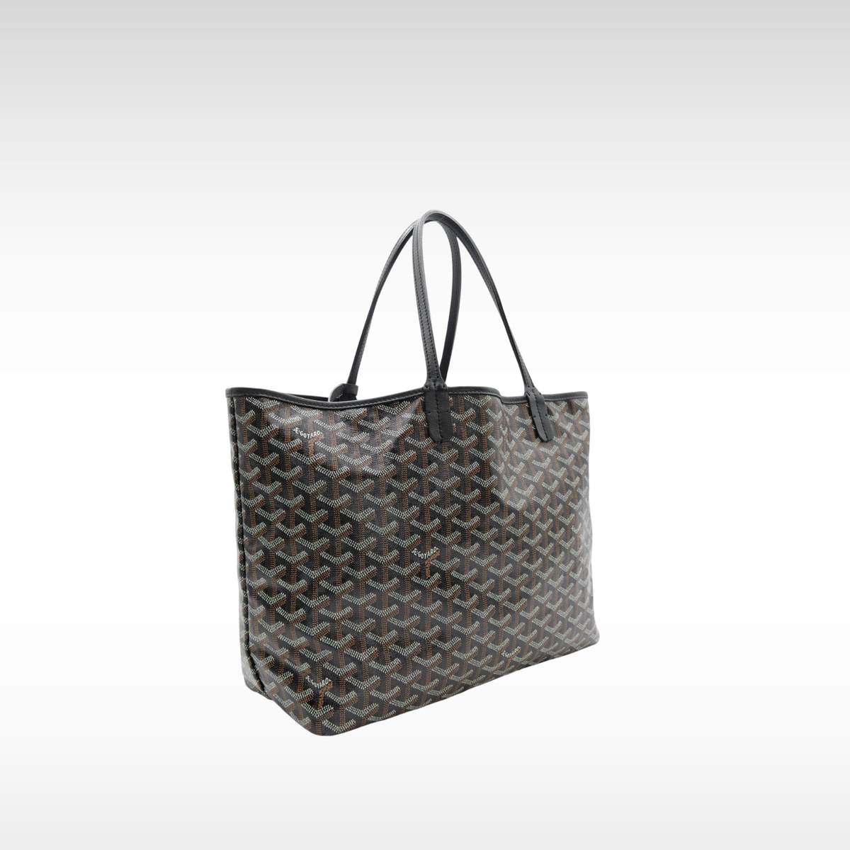 Saint Louis PM Coated Canvas Tote Bag