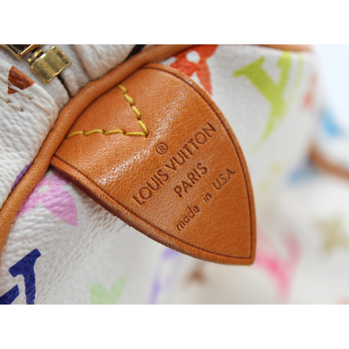 Speedy 30 Monogram Multicolor Handbag