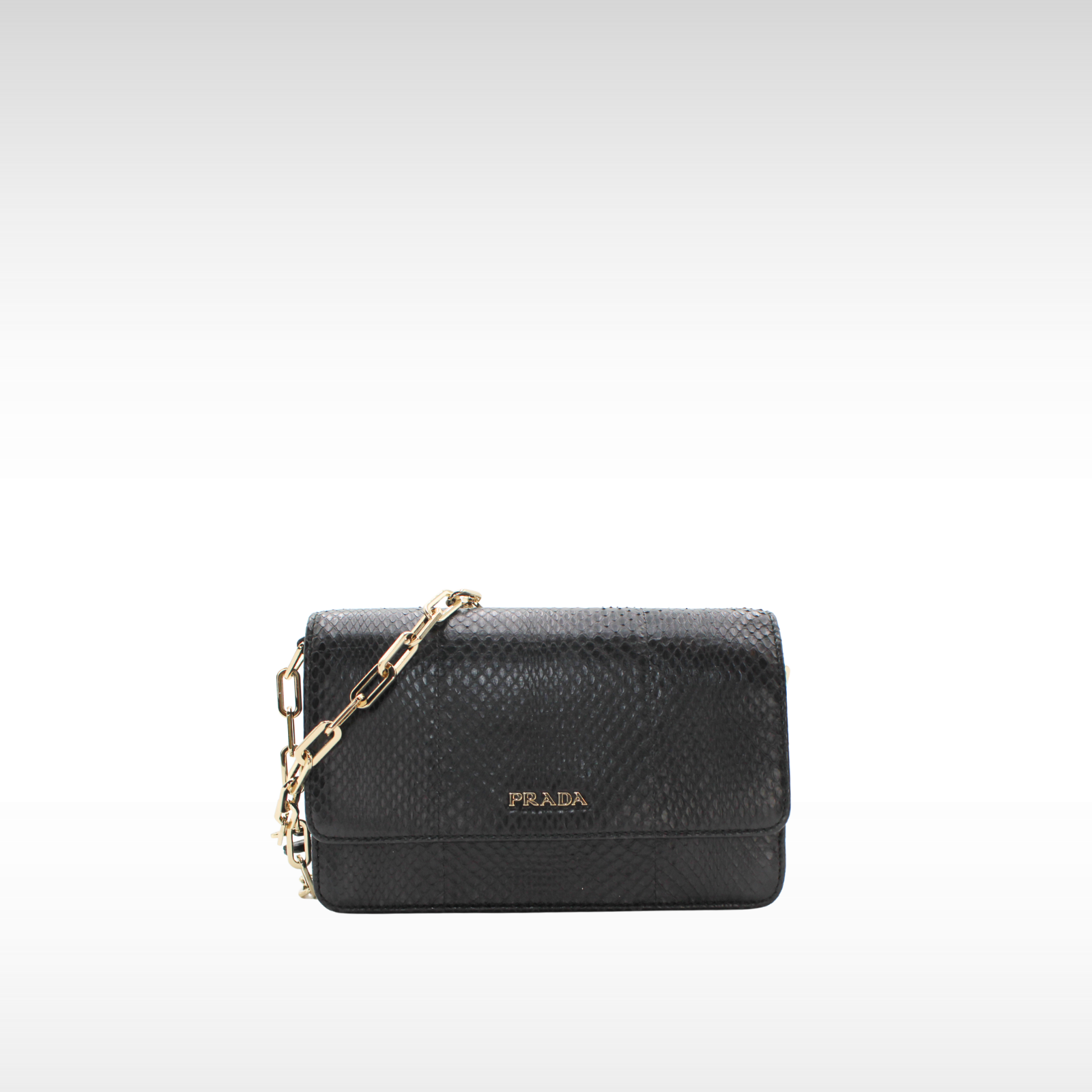 Python Crossbody Bag