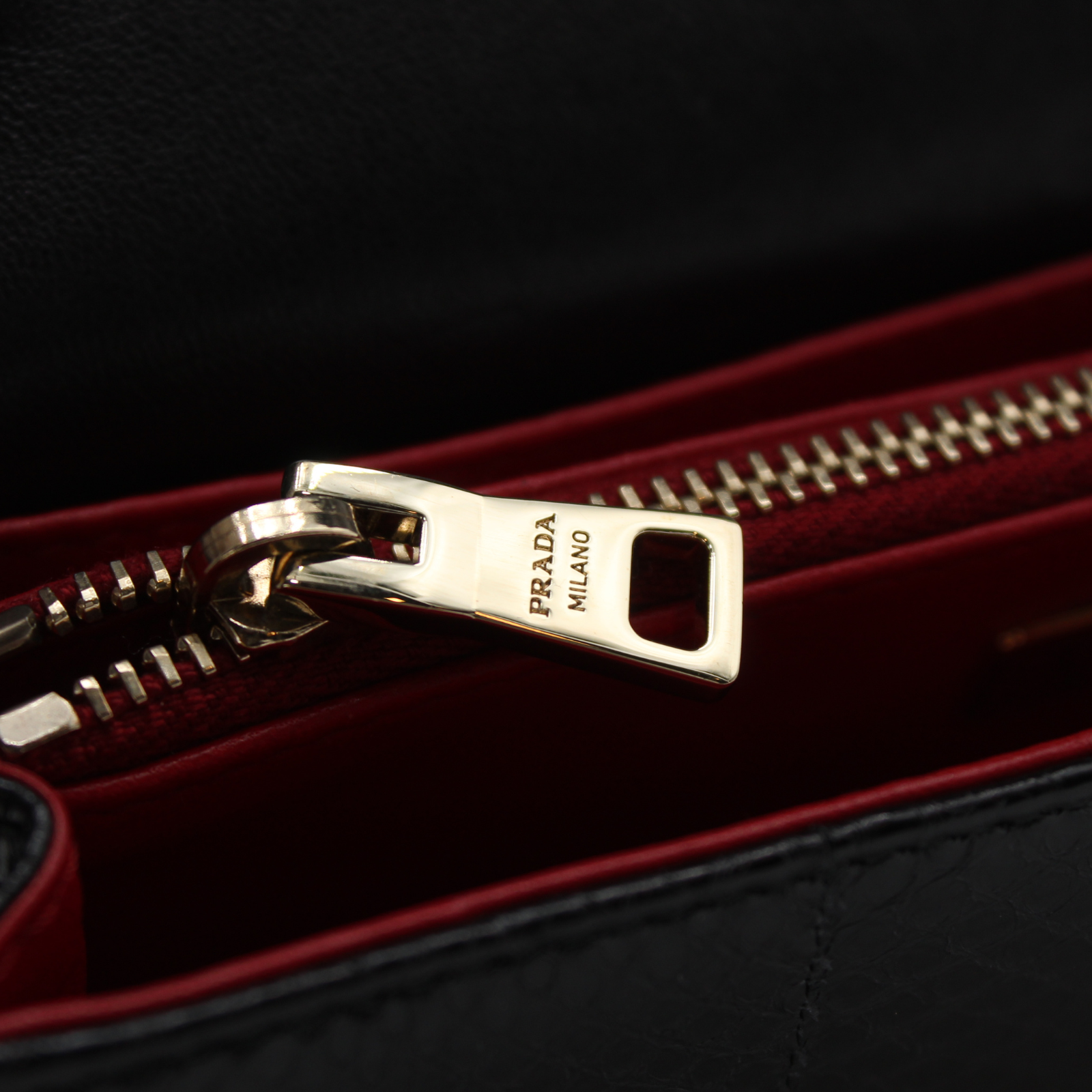 Python Crossbody Bag