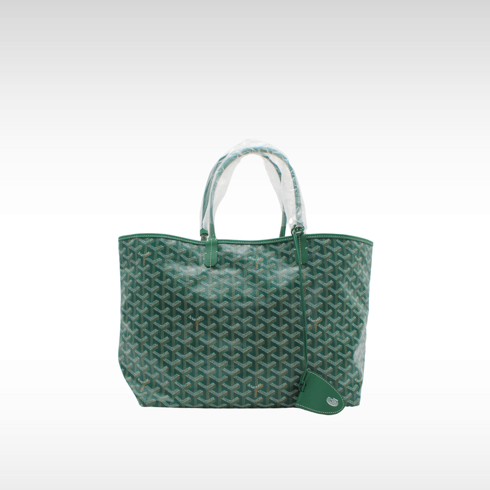 Saint Louis PM Coated Canvas Tote Bag