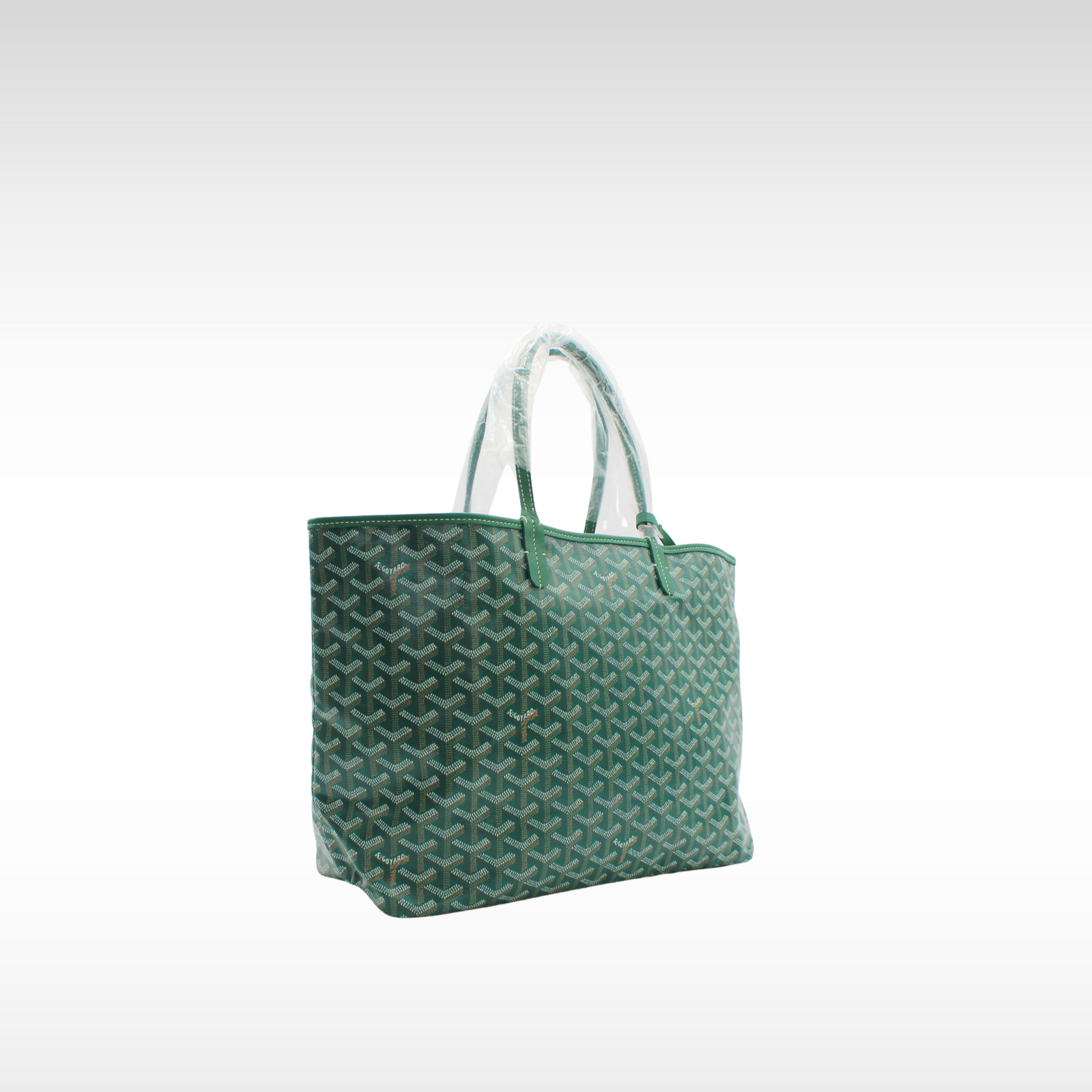 Saint Louis PM Coated Canvas Tote Bag