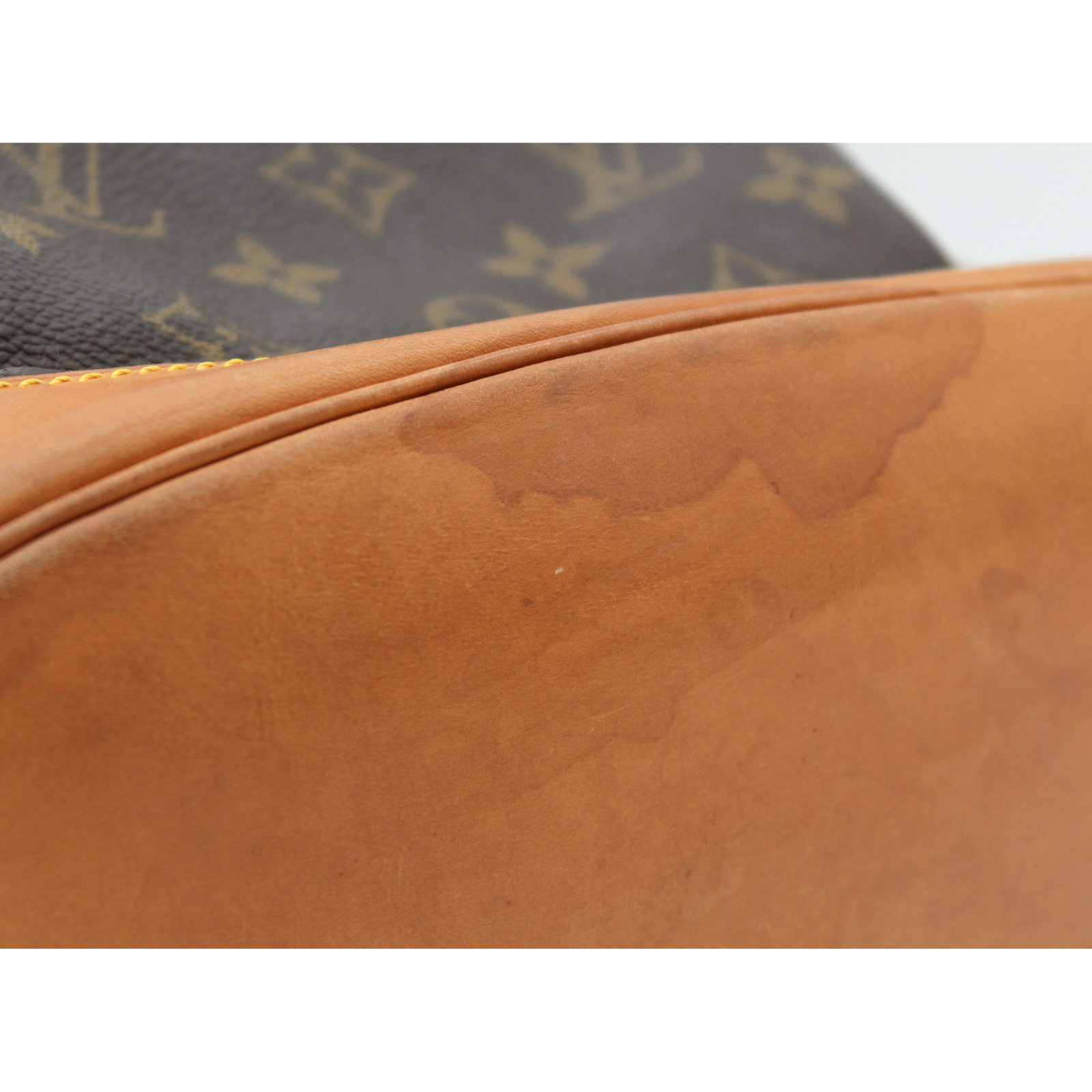 Montsouris PM Monogram Backpack