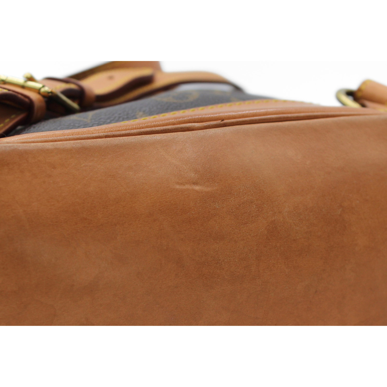 Montsouris PM Monogram Backpack