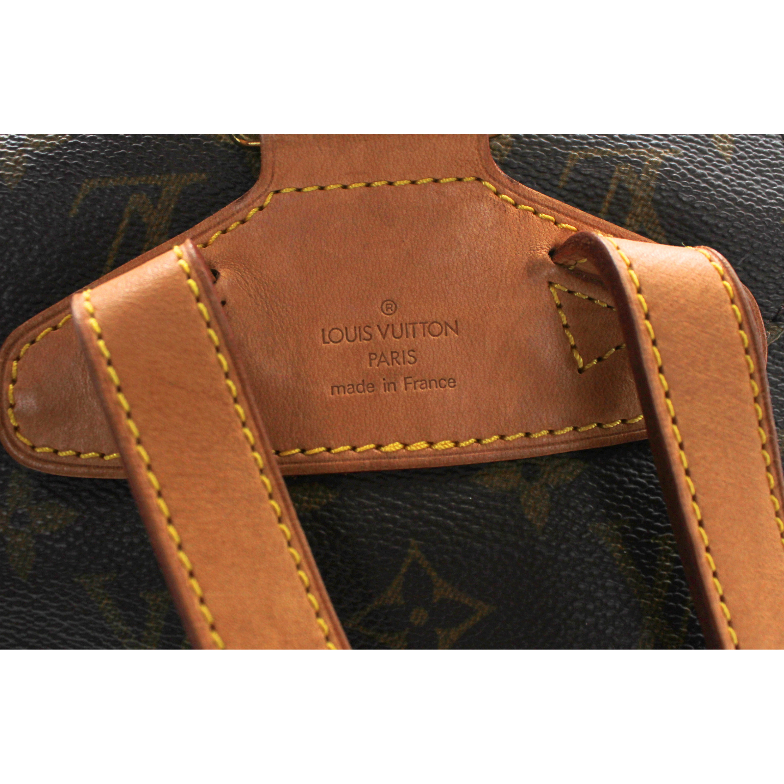 Montsouris PM Monogram Backpack