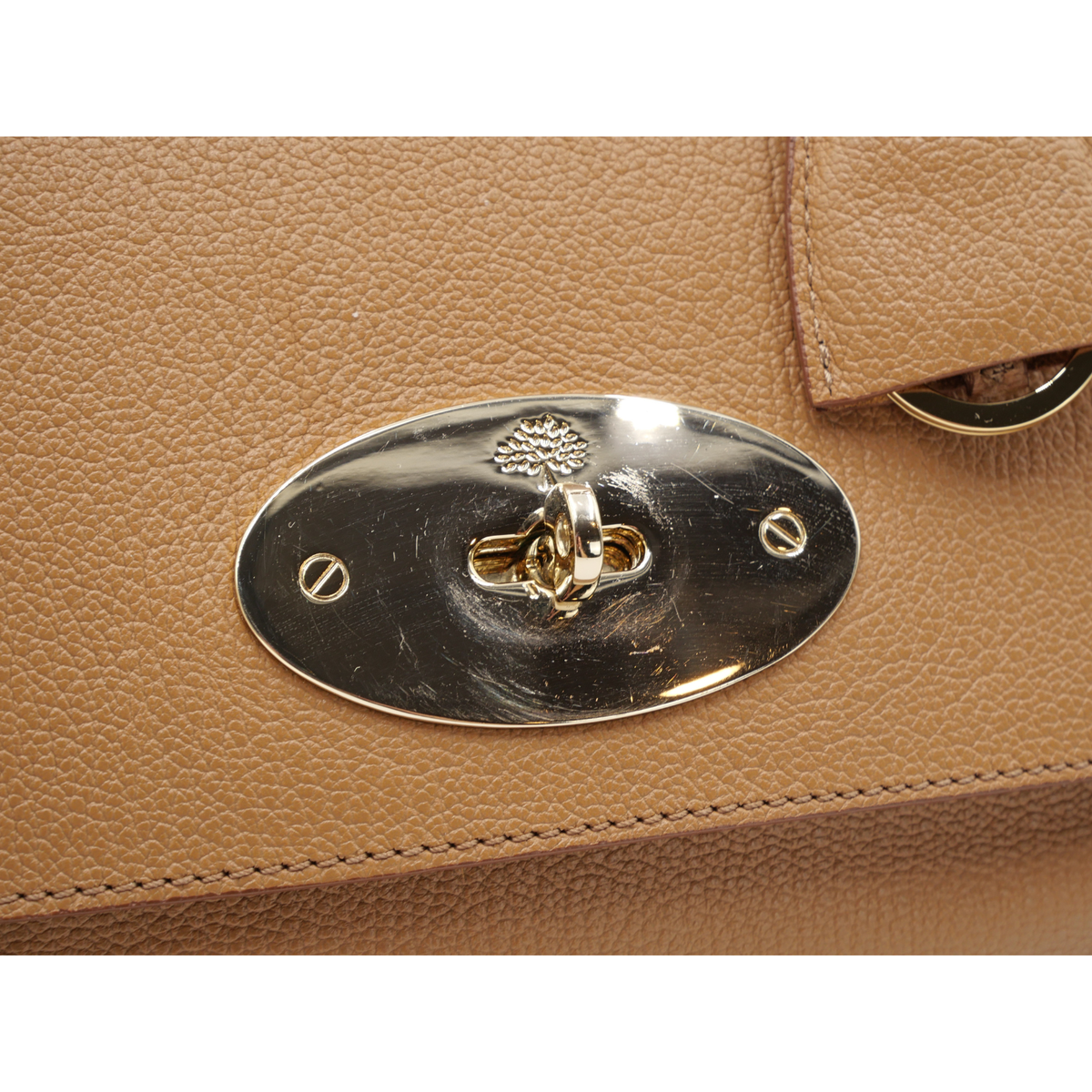Del Rey Calf Handbag