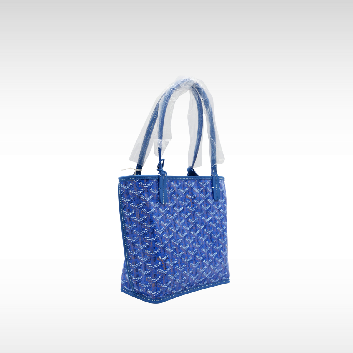 Anjou Mini Coated Canvas Tote Bag