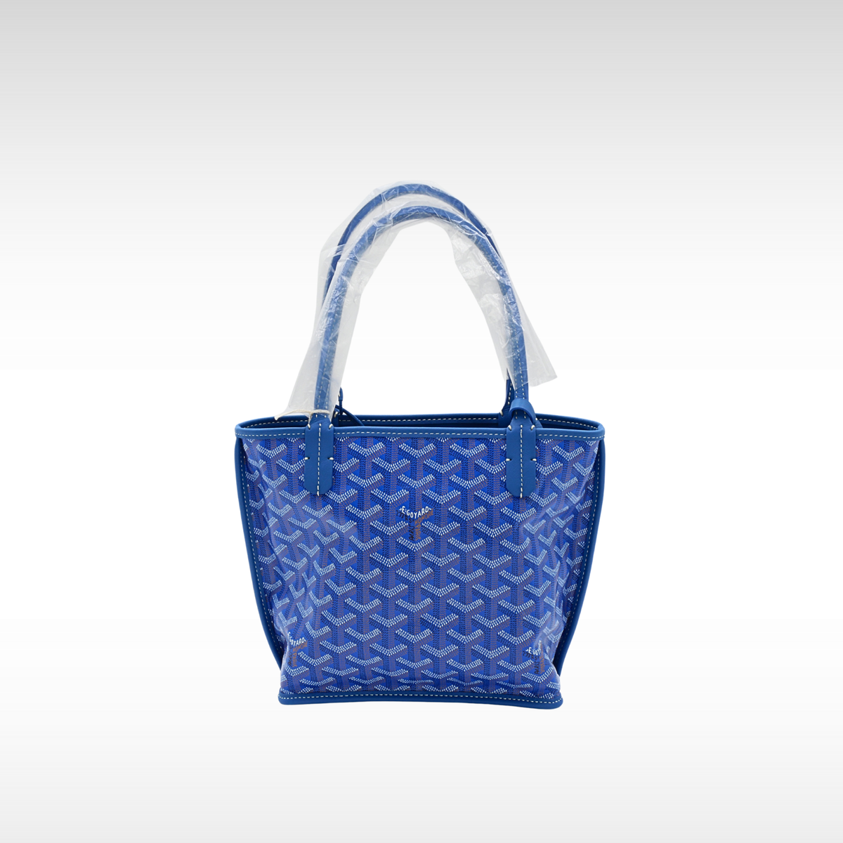 Anjou Mini Coated Canvas Tote Bag