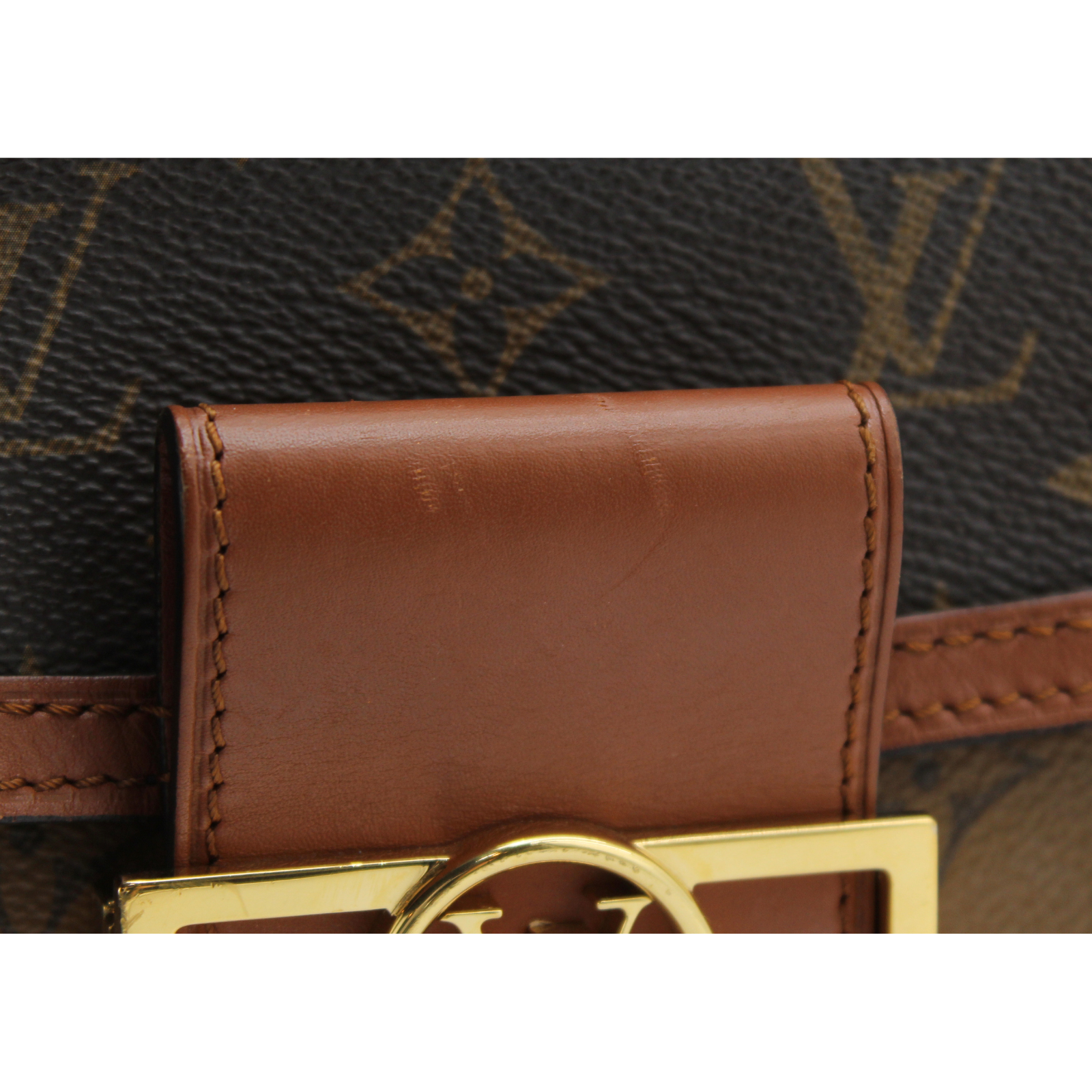 Dauphine Mini Monogram Reverse Marron Crossbody Bag