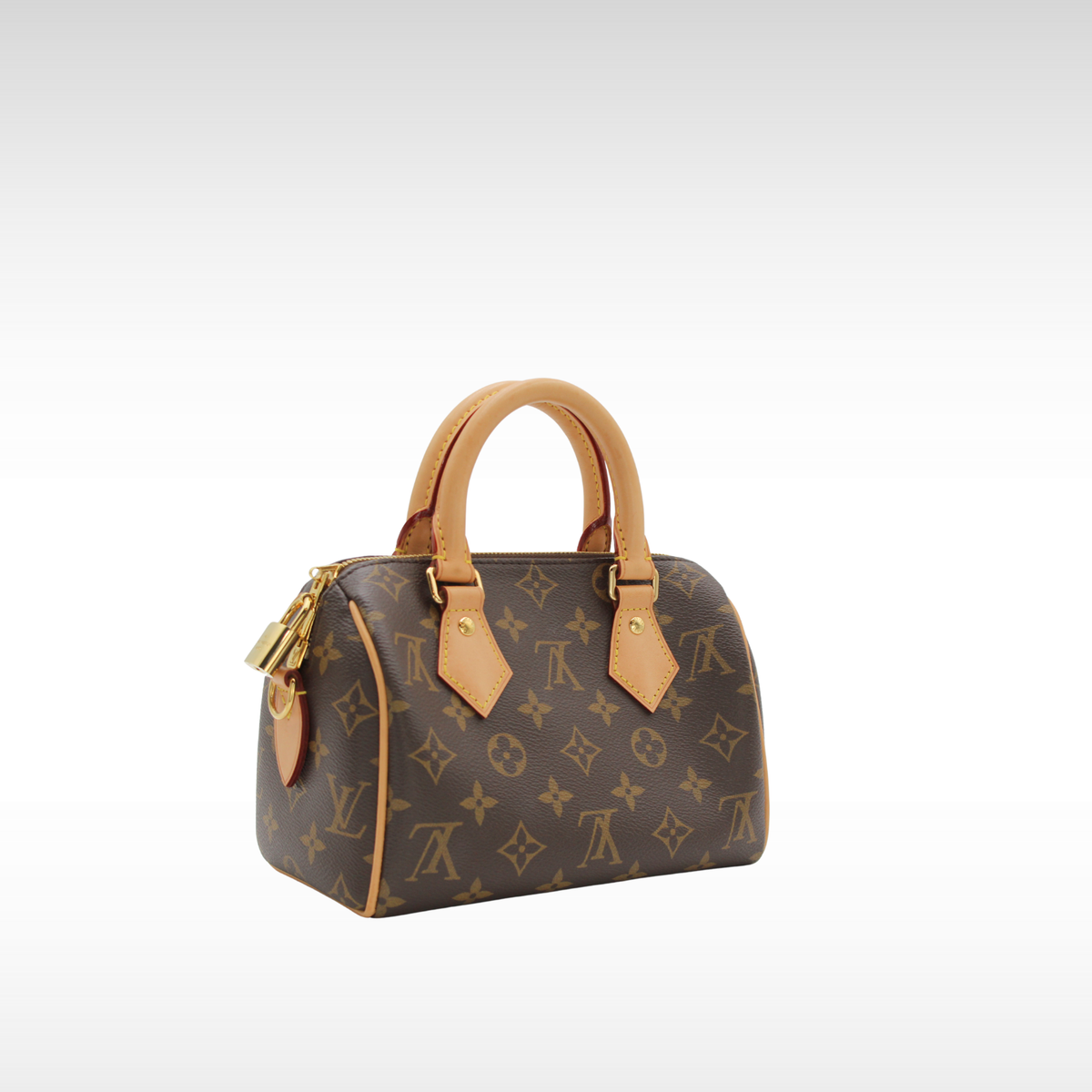 Speedy 20 Monogram Handbag