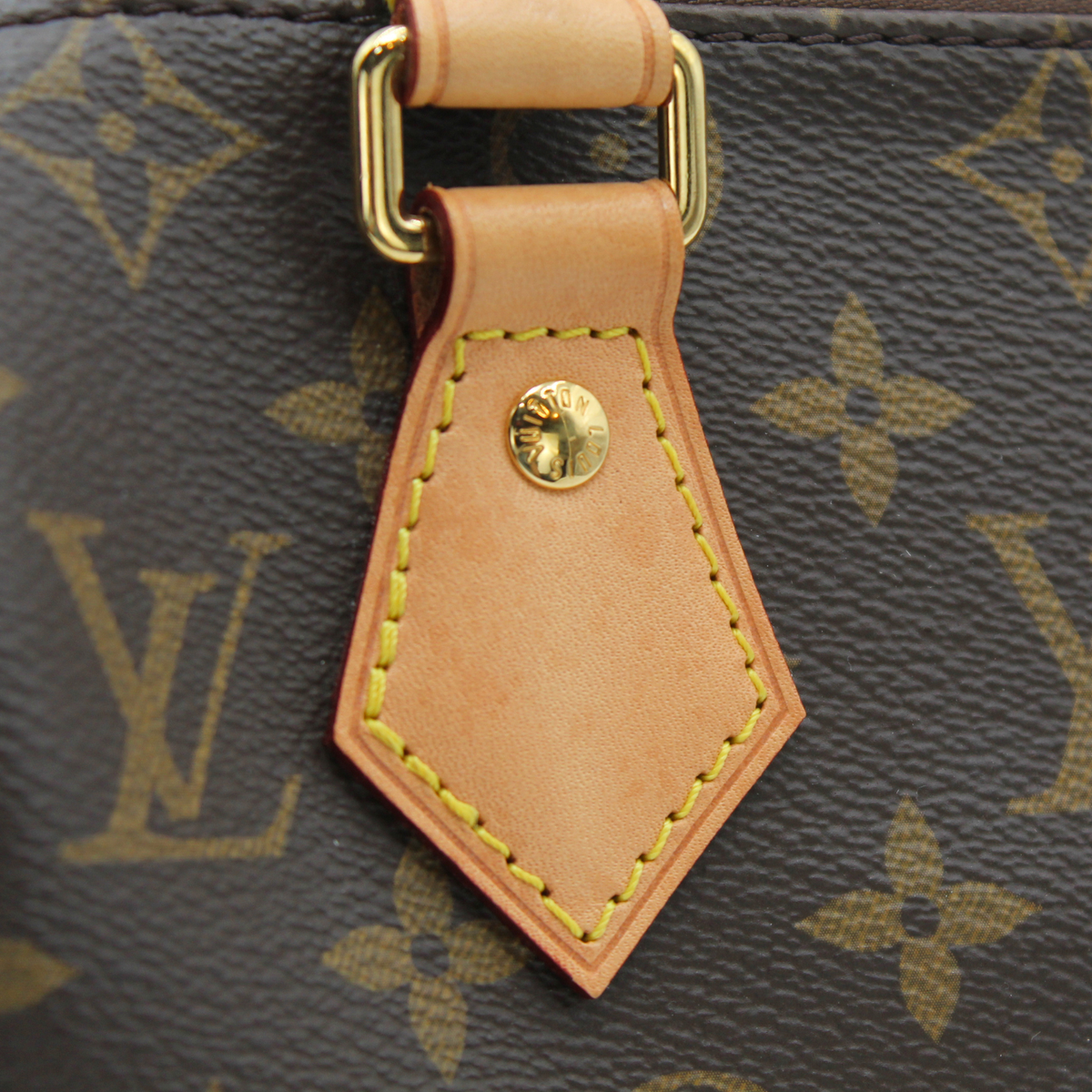Speedy 20 Monogram Handbag