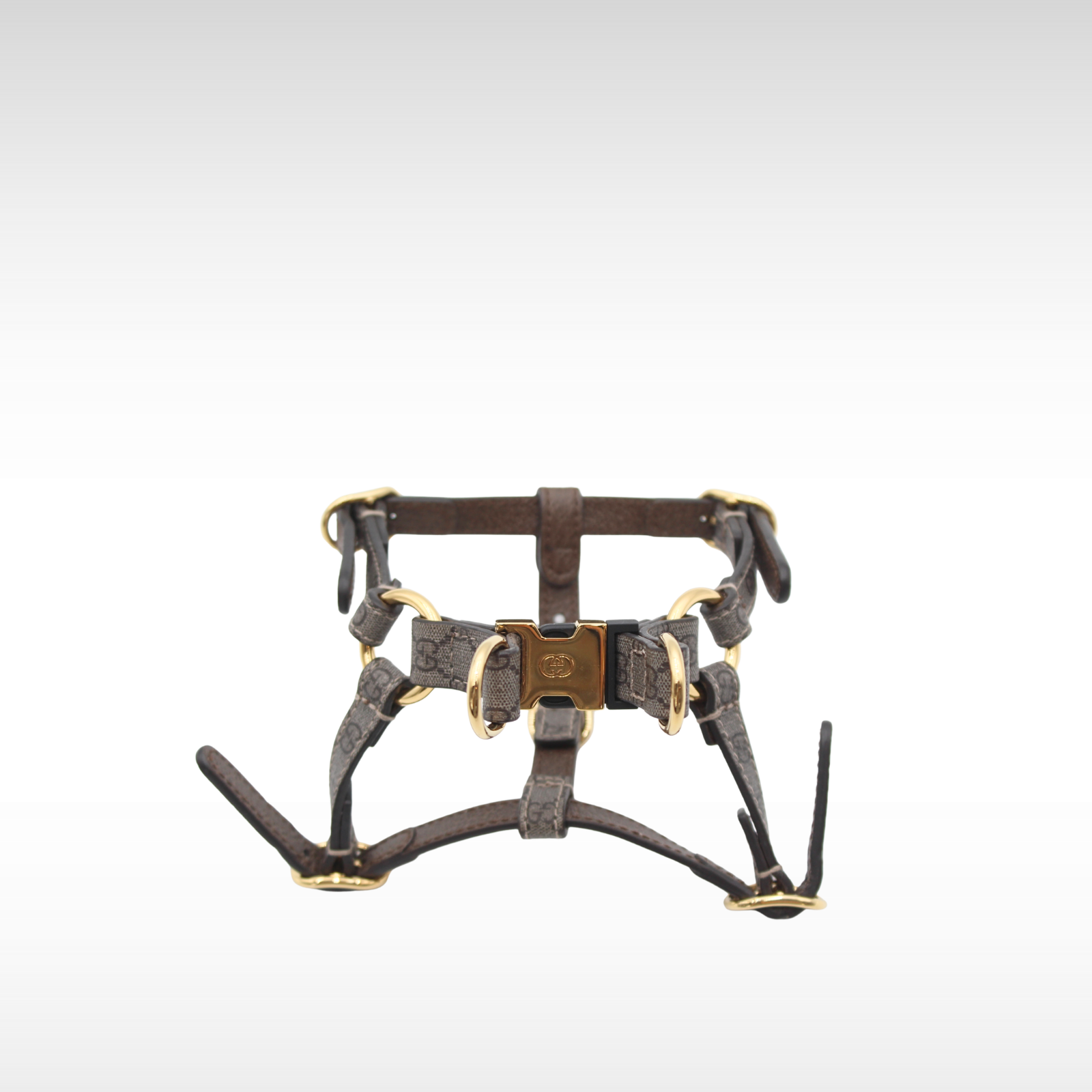 XS Coated Canvas Dog Harness