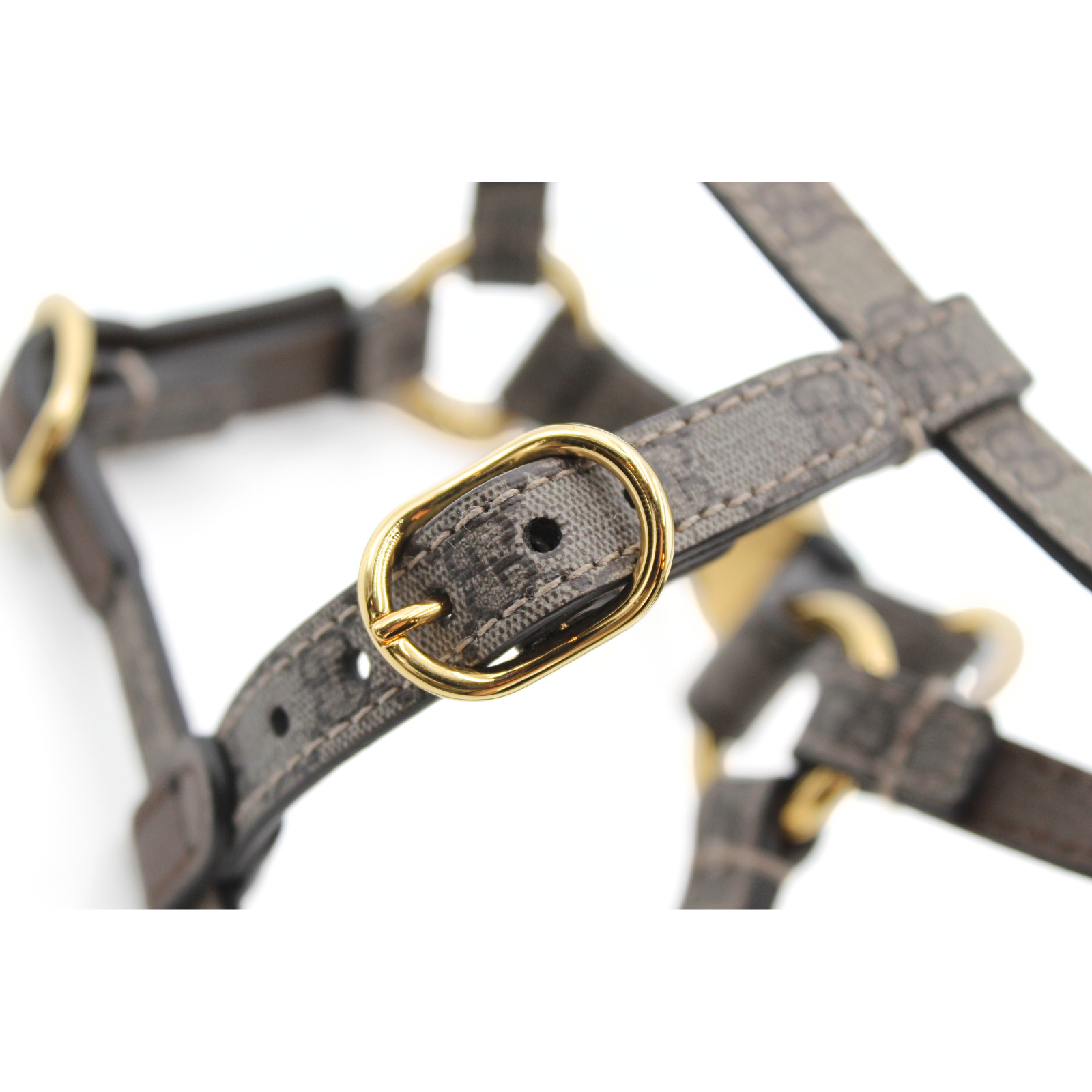 XS Coated Canvas Dog Harness