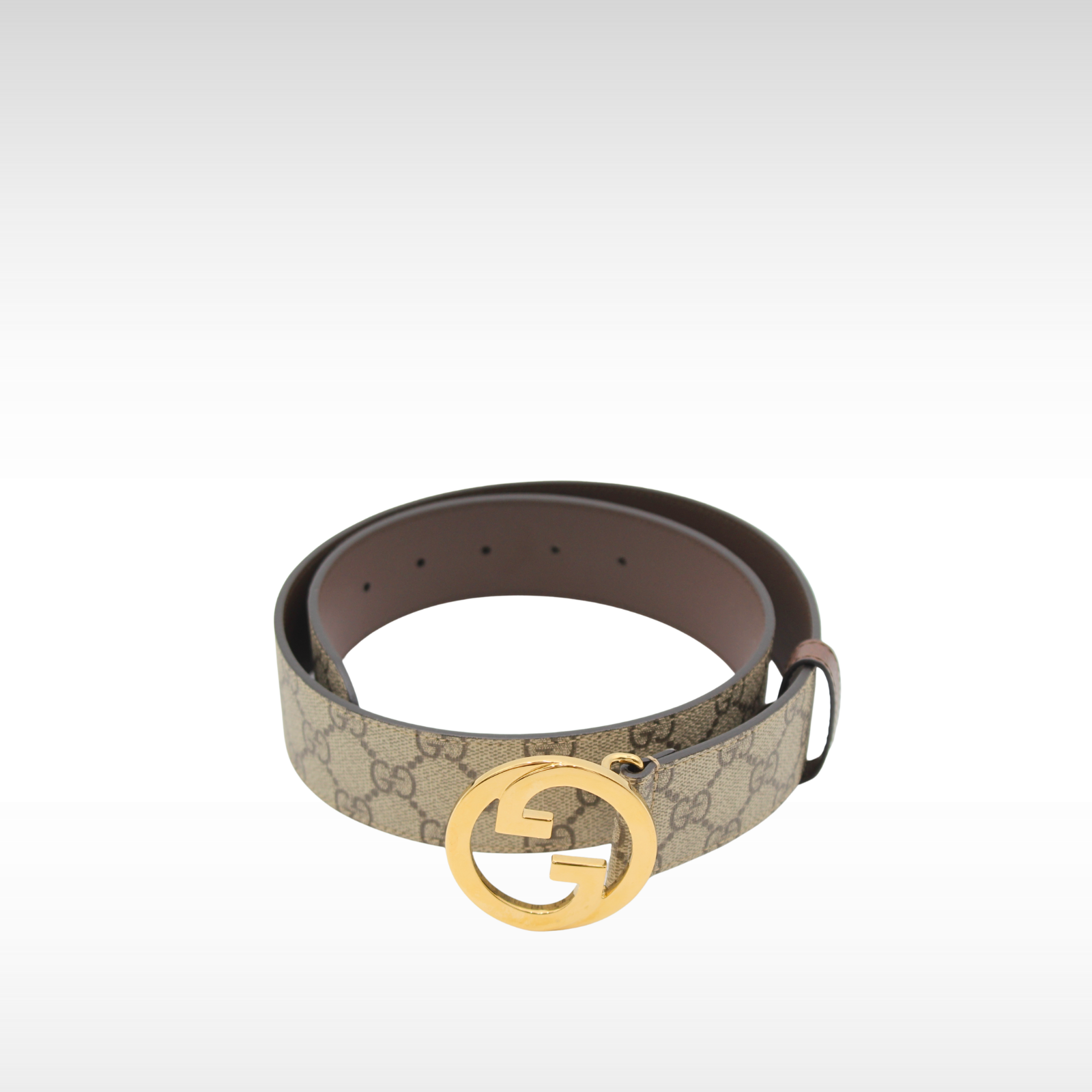32/80 Blondie Coated Canvas Belt