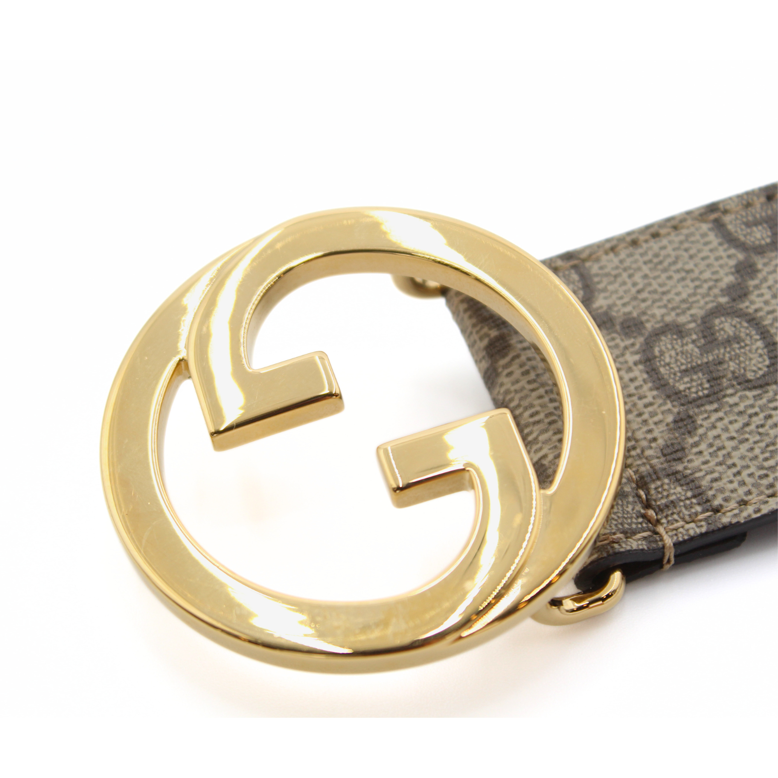32/80 Blondie Coated Canvas Belt