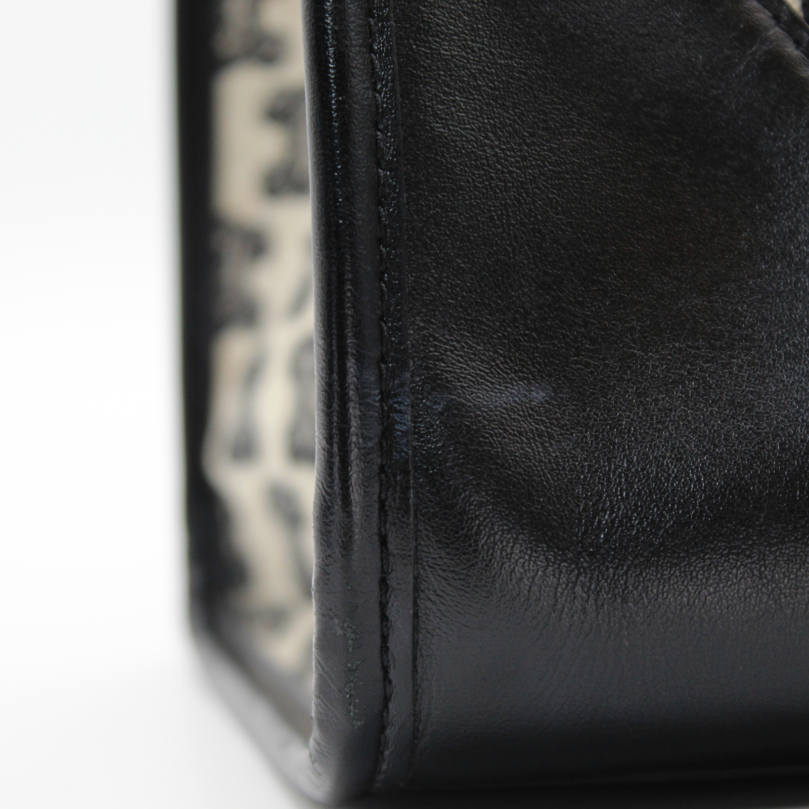 Horizontal Cabas Canvas Tote Bag