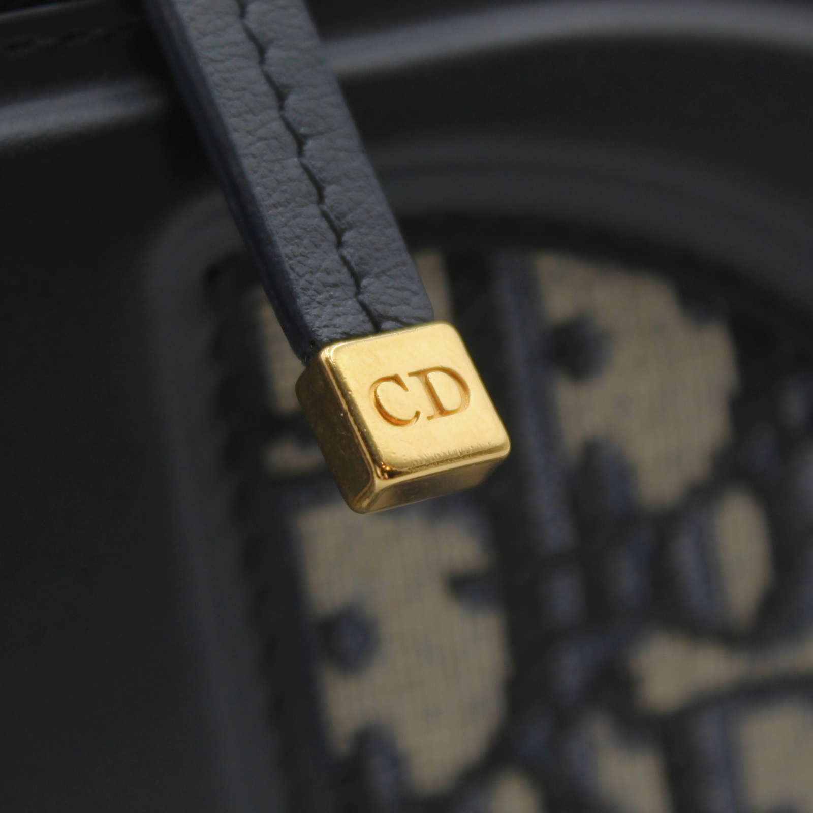 CD Signature Oblique Canvas Crossbody Bag
