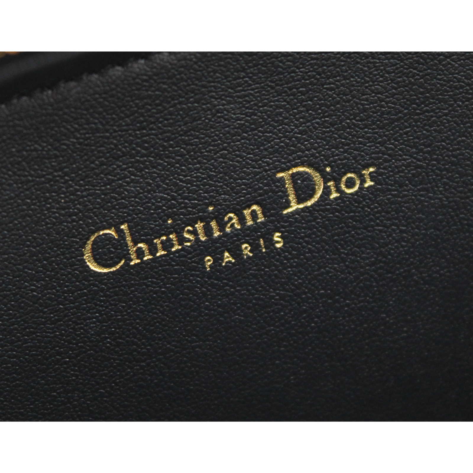 CD Signature Oblique Canvas Crossbody Bag