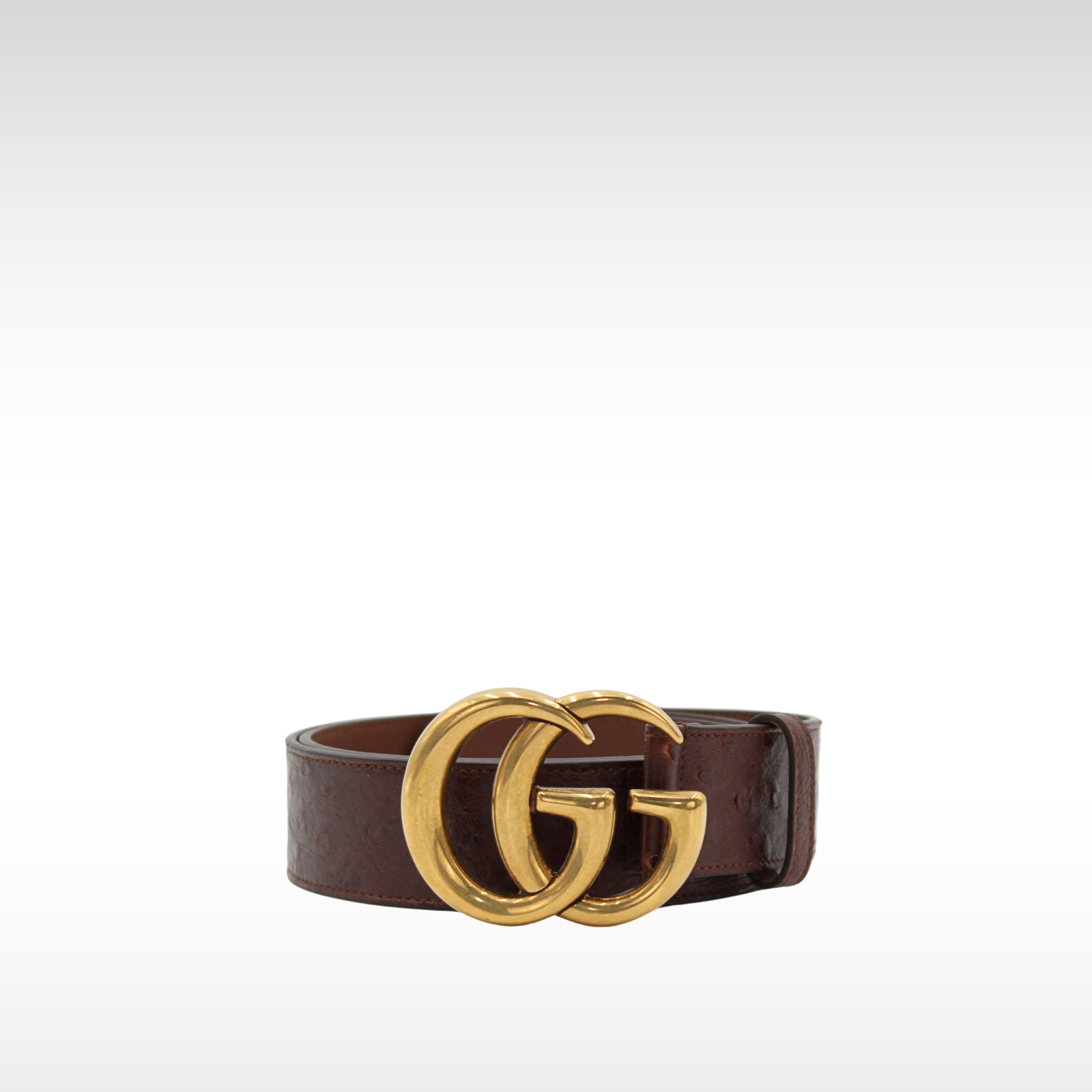 GG-Marmont 38/95 Ostrich Brown Belt