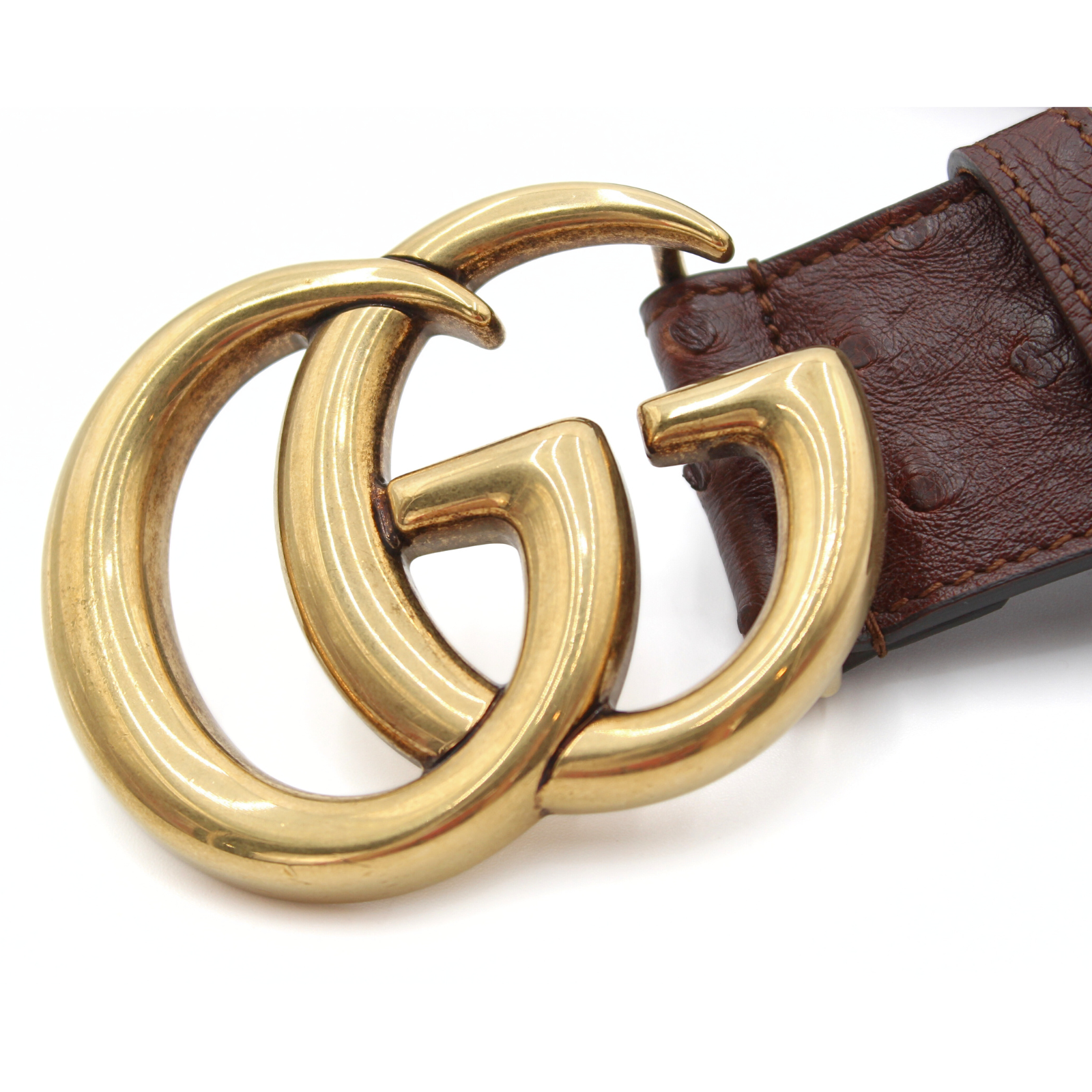 GG-Marmont 38/95 Ostrich Brown Belt