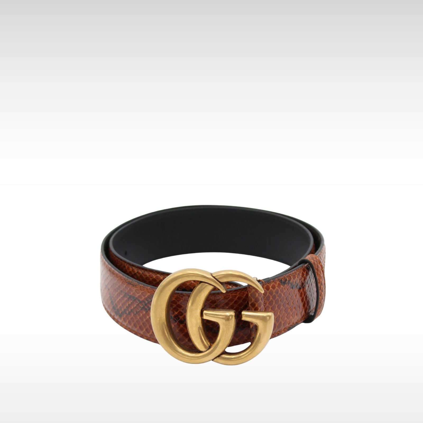 GG-Marmont 38/95 Python Brown Belt