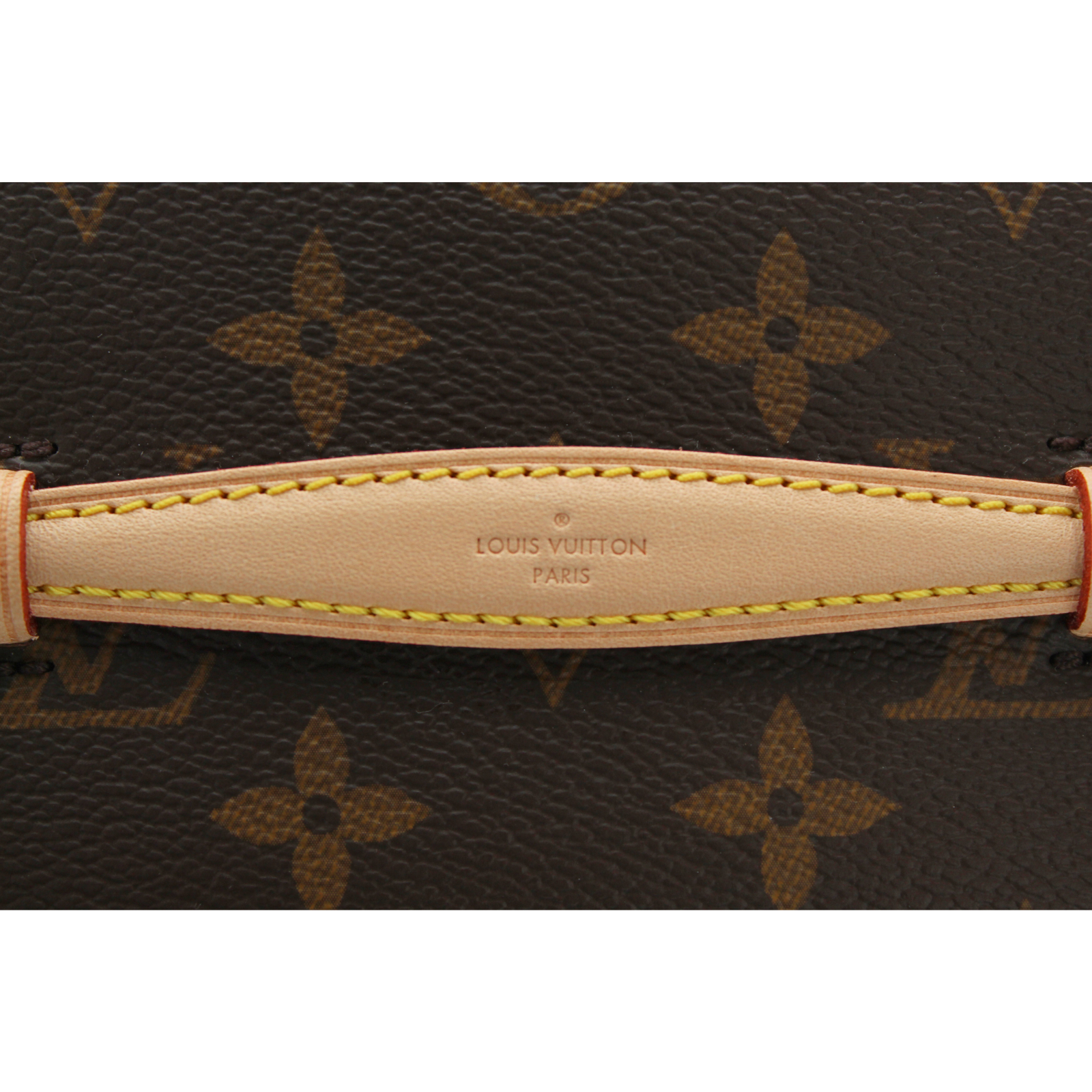 Nice Nano Monogram Vanity Bag