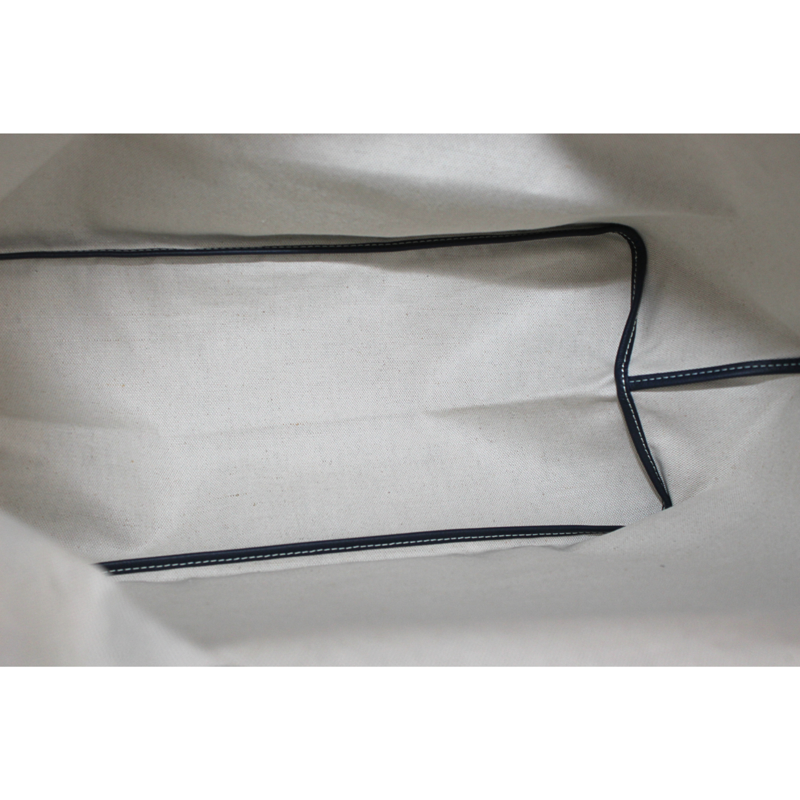 Saint Louis GM Tote Bag