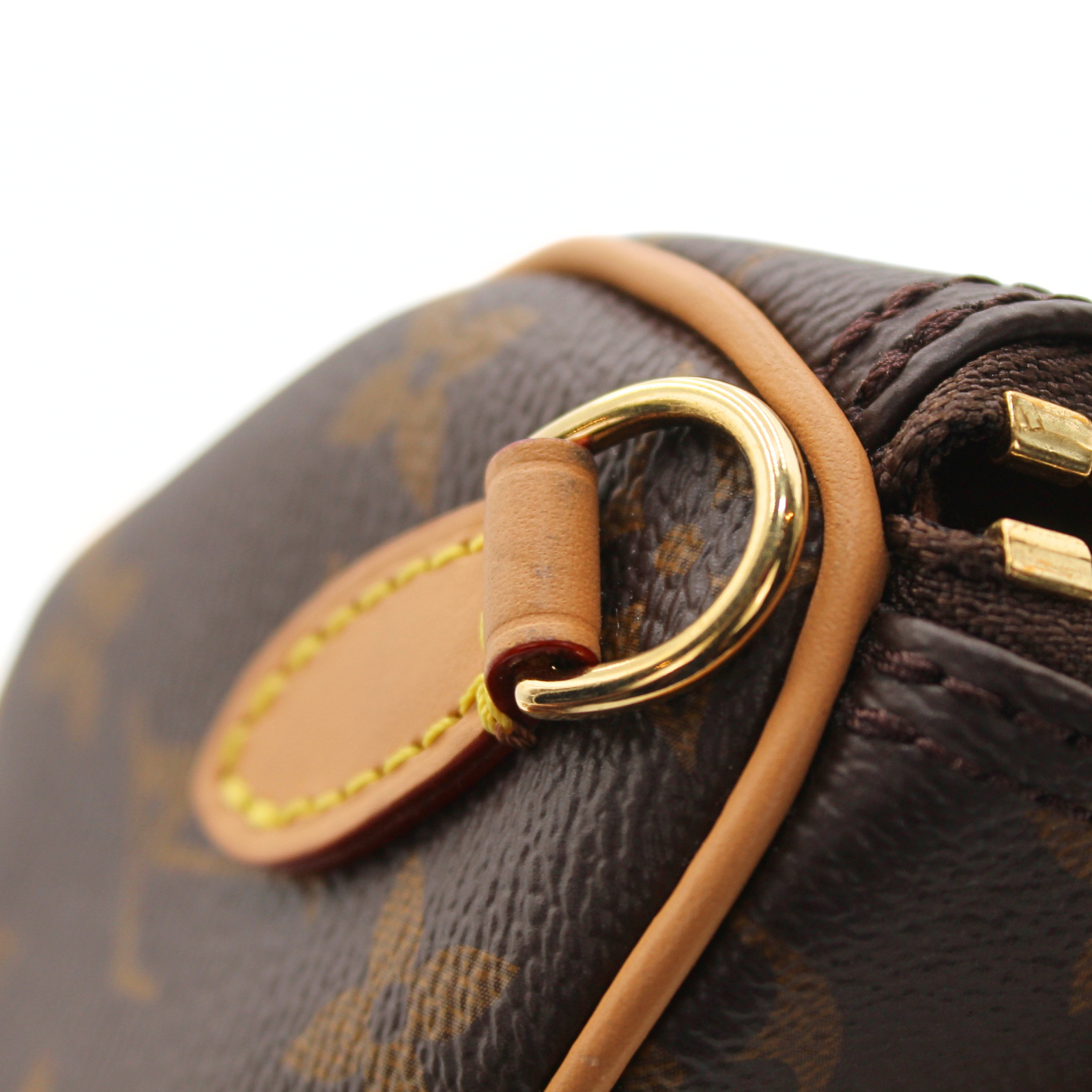 Speedy Nano Monogram Coated Canvas Marron Handbag