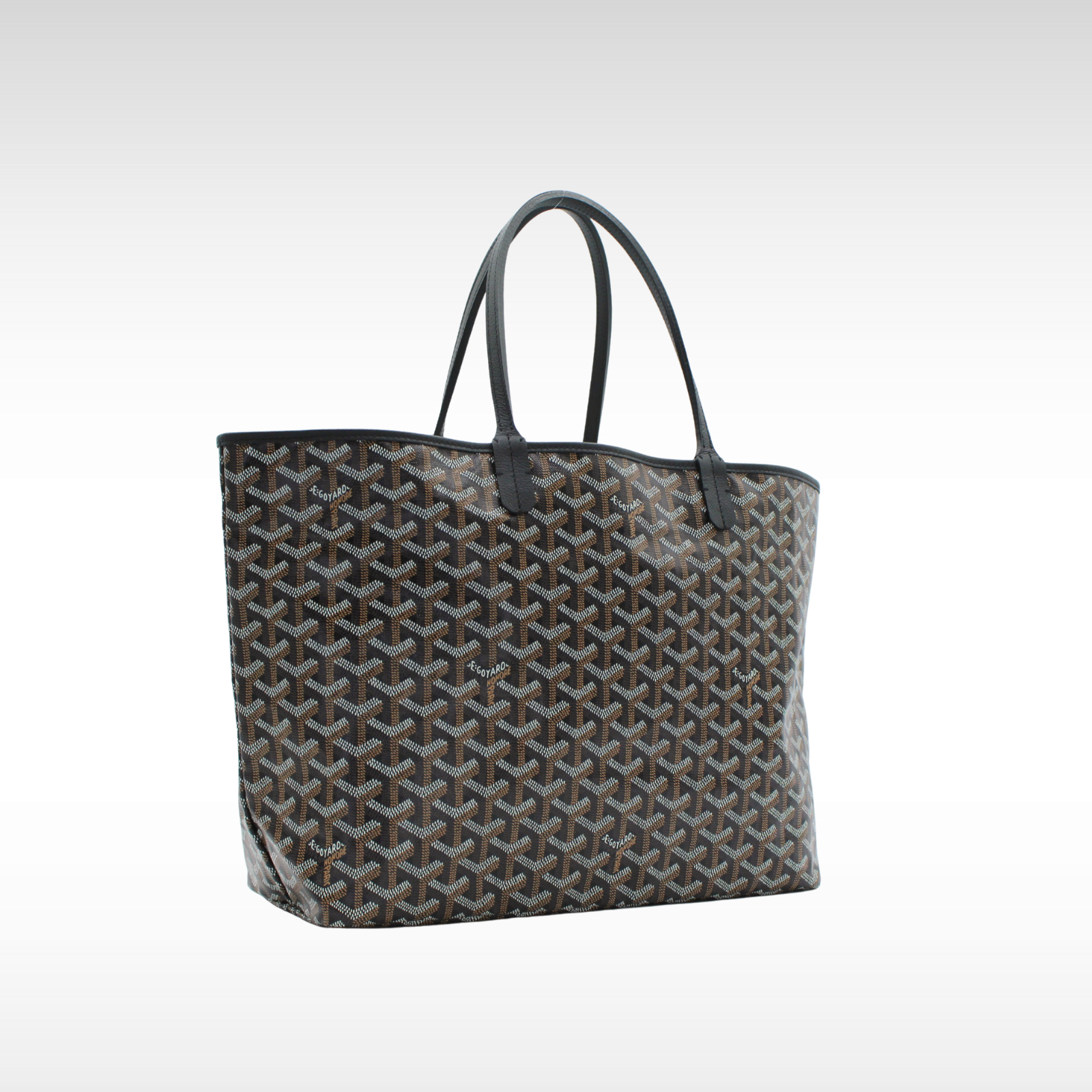 Saint Louis PM Coated Canvas Tote Bag
