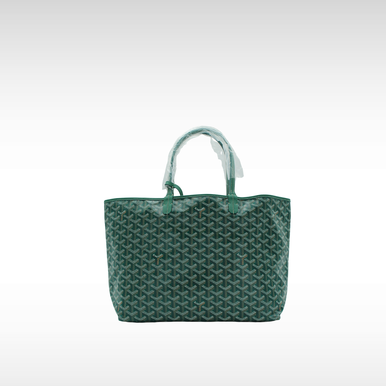 Saint Louis PM Coated Canvas Tote Bag