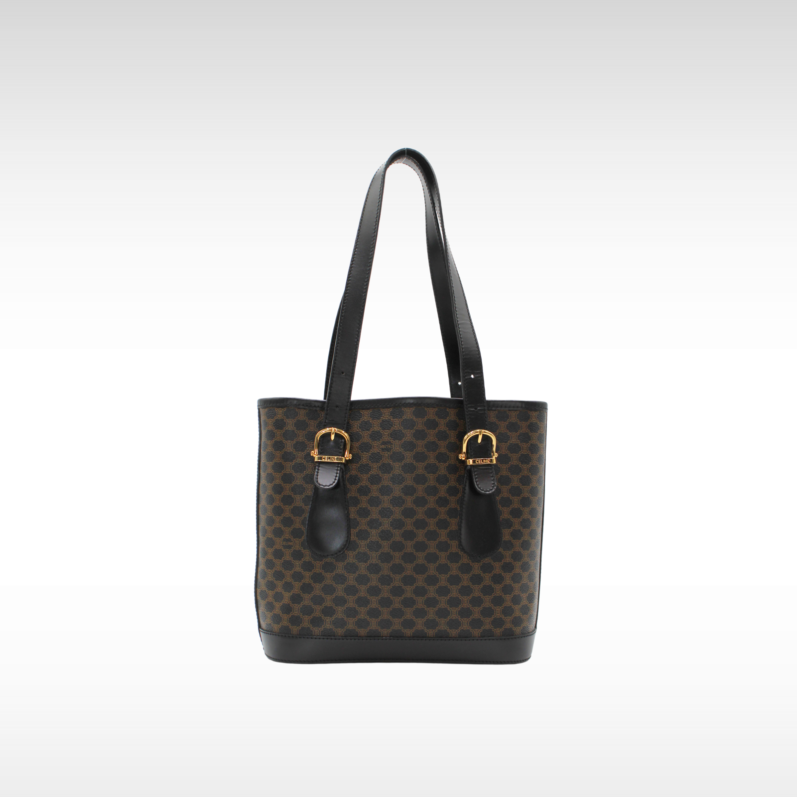 Macadam Coated Canvas Tote Bag