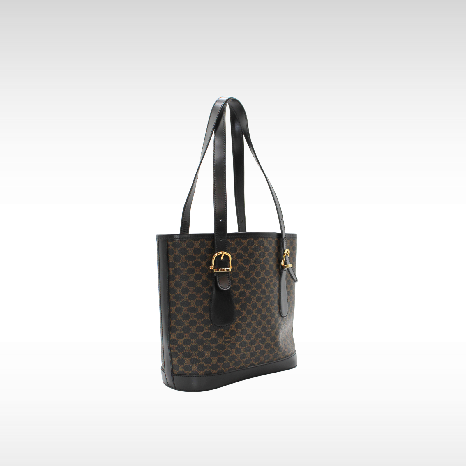 Macadam Coated Canvas Tote Bag