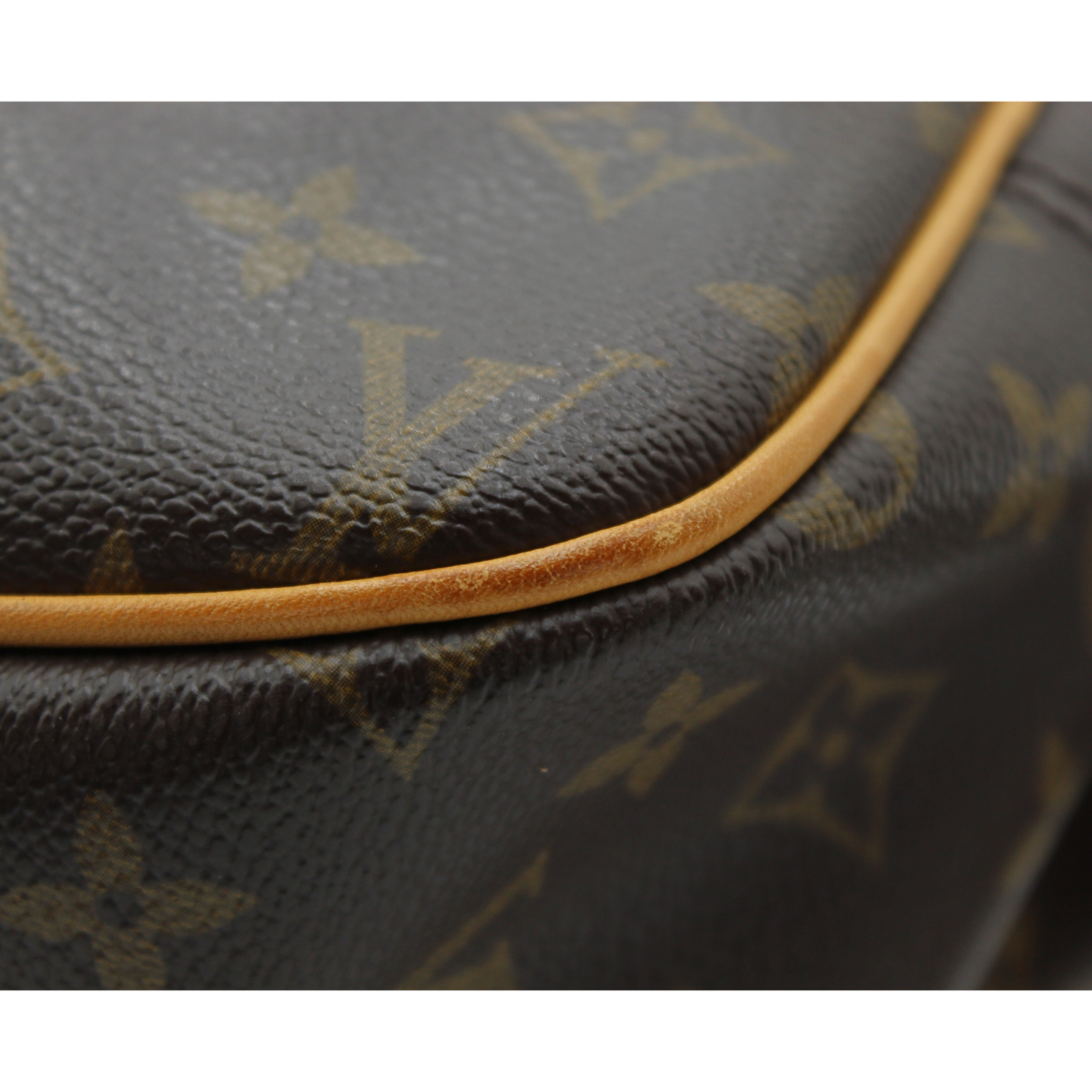 Reporter 28 Monogram Crossbody Bag