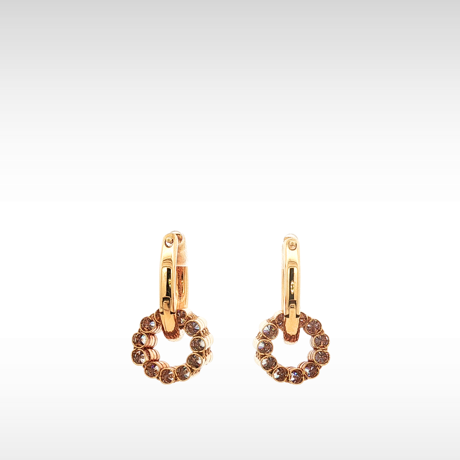 Le Soir Brass Transparent Earrings
