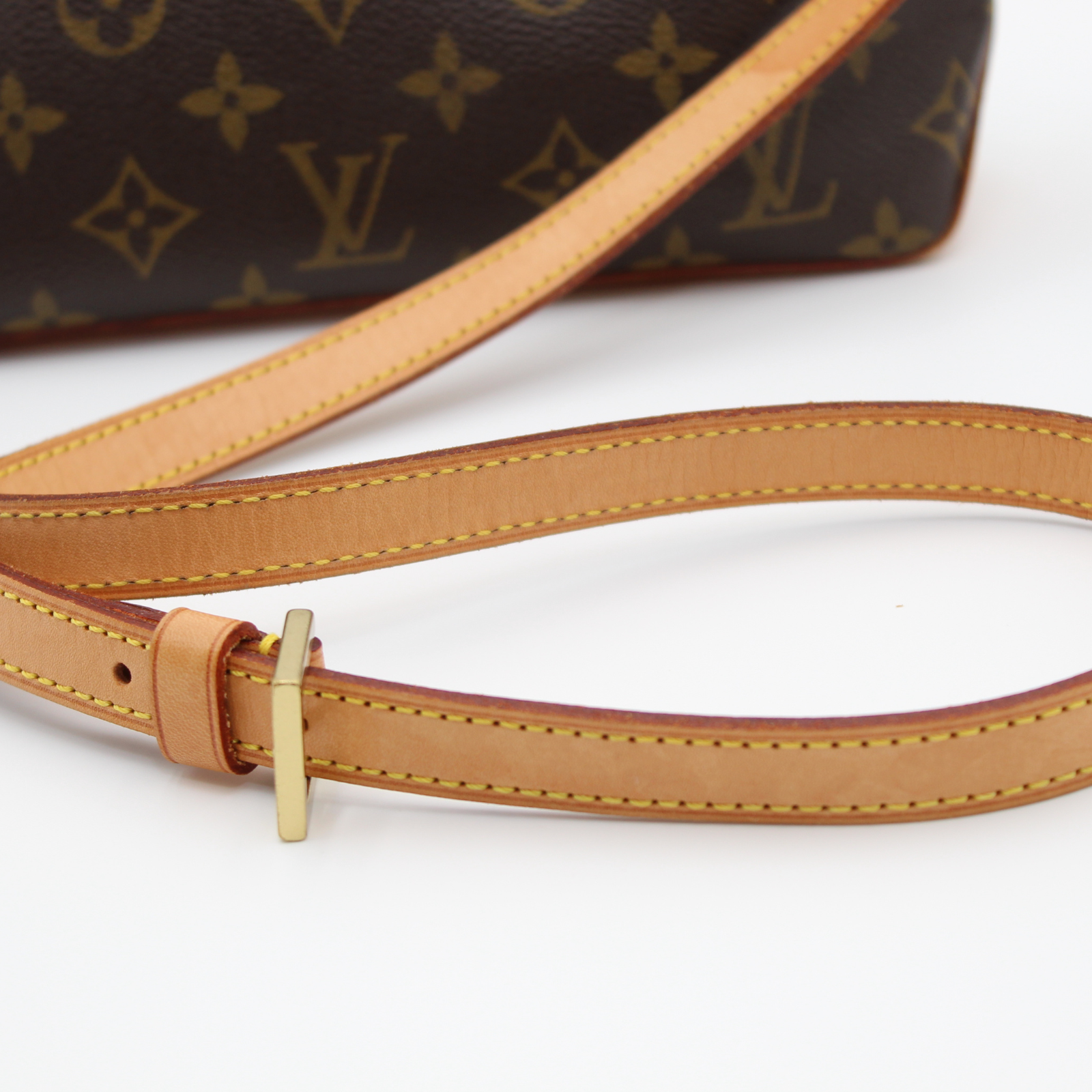 Trotteur Monogram Crossbody Bag