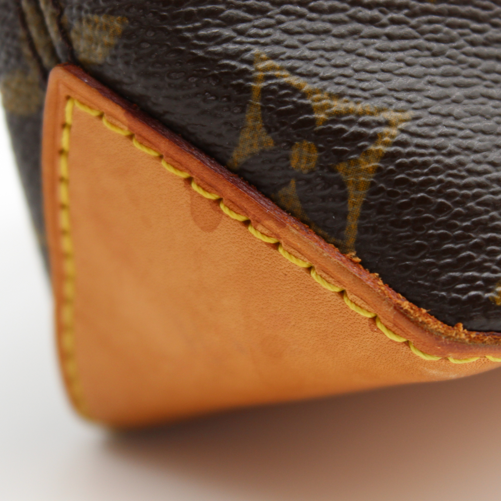 Trotteur Monogram Crossbody Bag