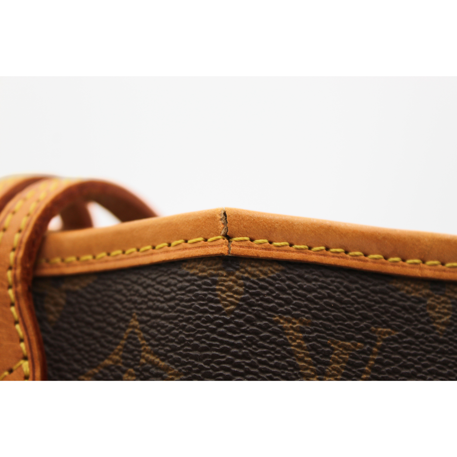 Neverfull PM Monogram Tote Bag