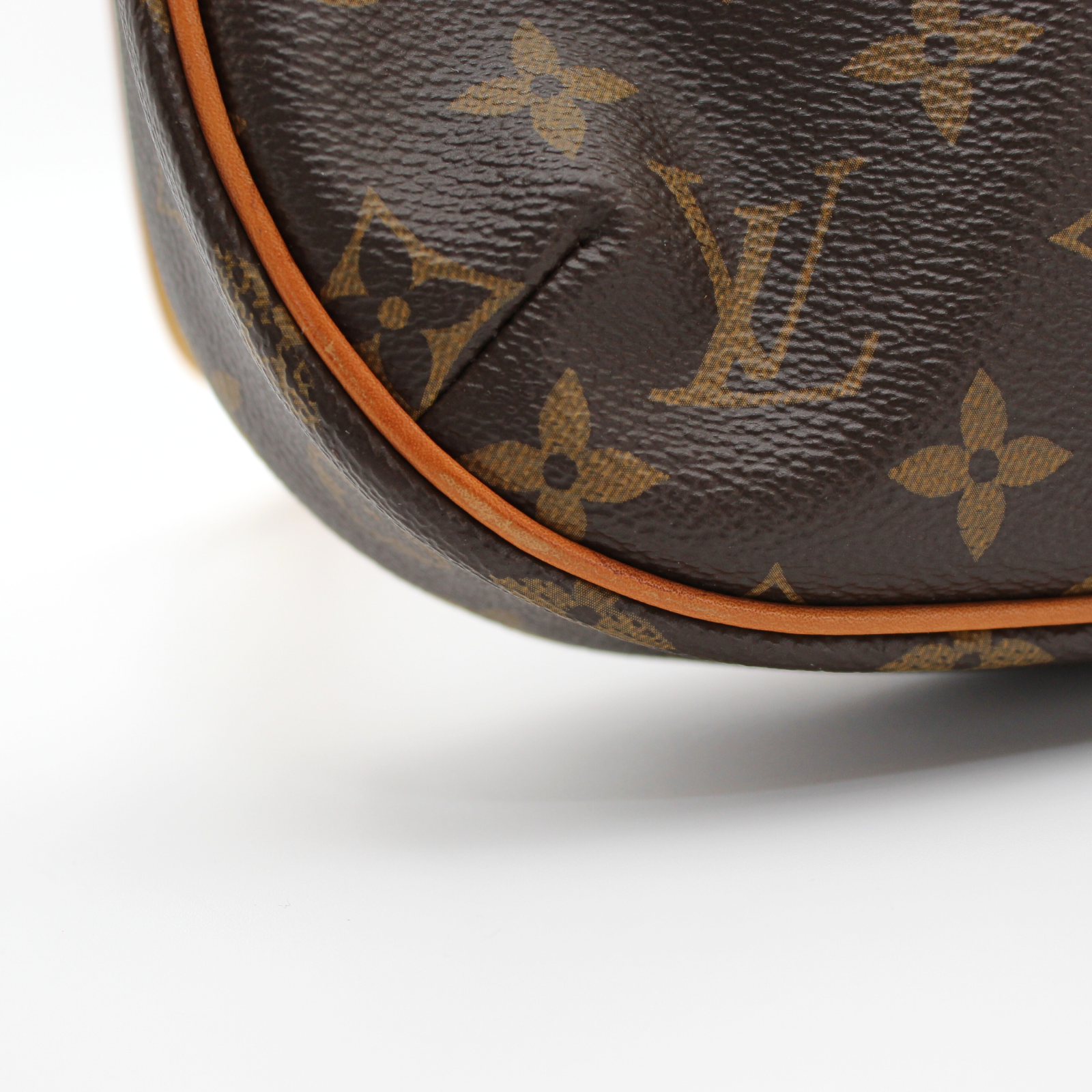 Odeon PM Monogram Crossbody Bag