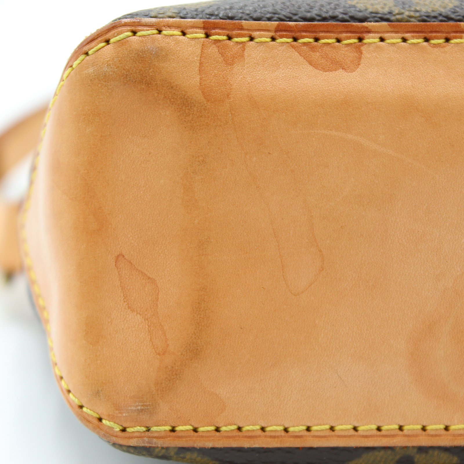 Trotteur Monogram Crossbody Bag