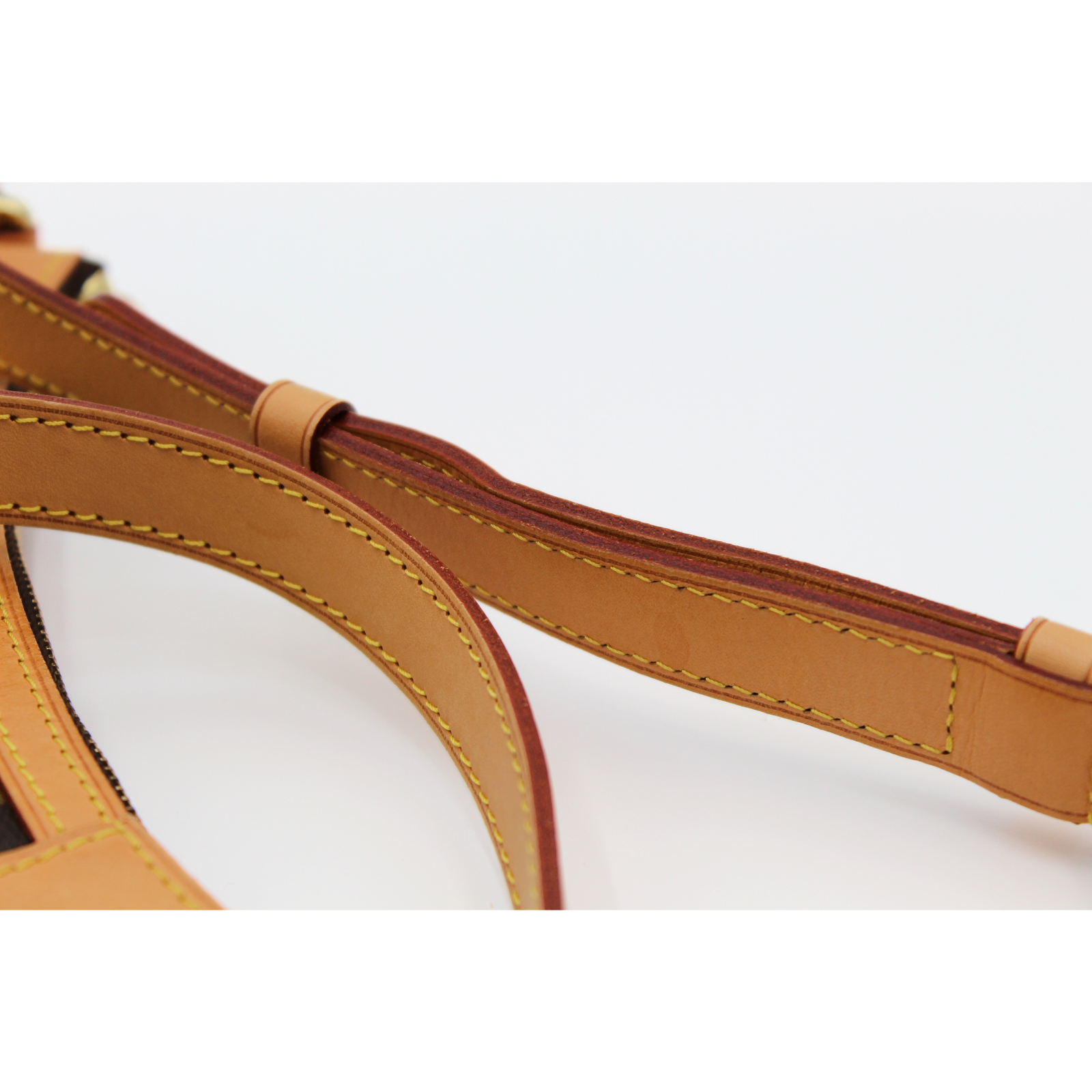 Odeon PM Monogram Crossbody Bag