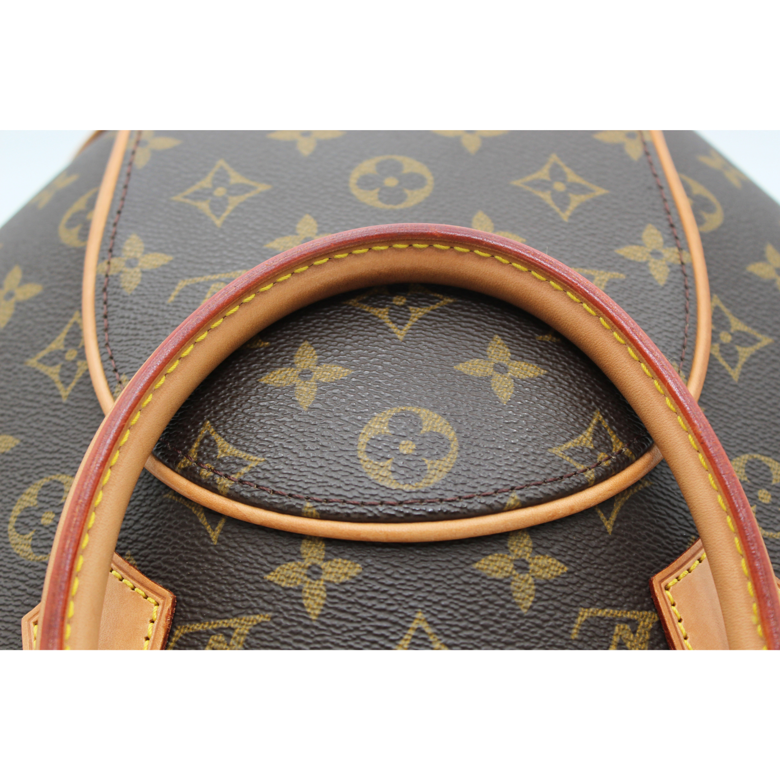 Ellipse PM Monogram Hand Bag